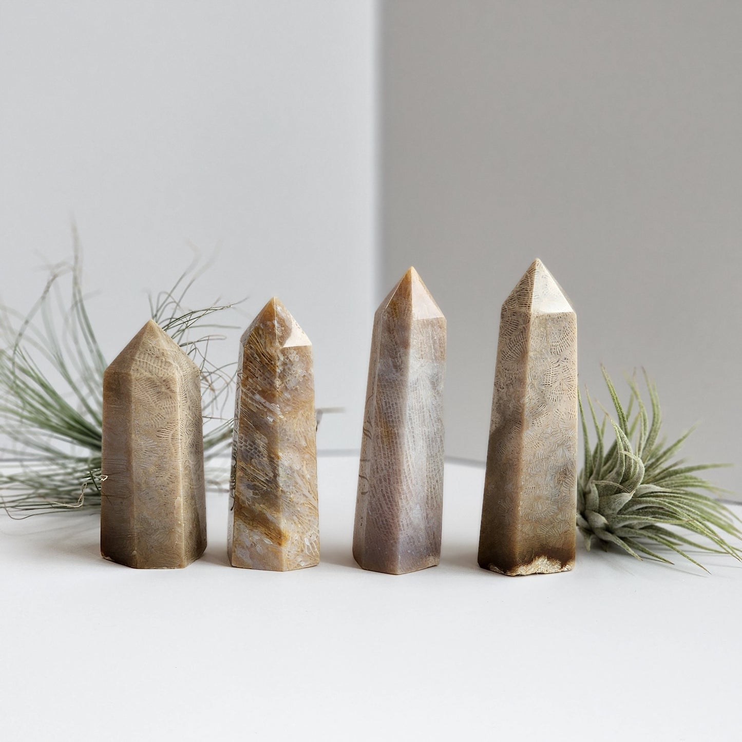 Fossilized Coral Tower - Unique Cream Feather Pattern Decor
