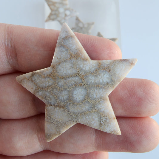 Fossil Coral Star Carving - Hand Carved Agatized Gem