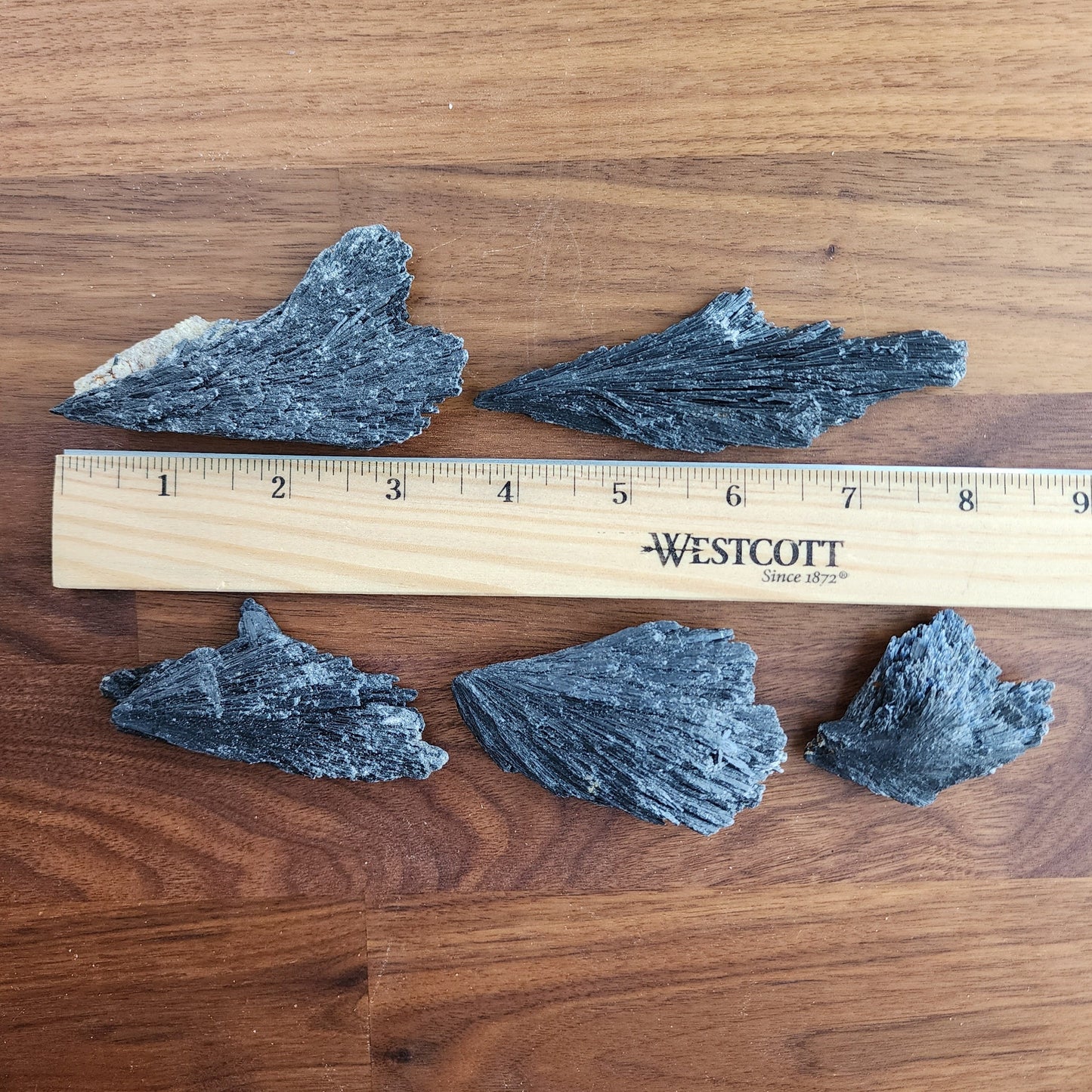 Black Kyanite Specimen | Raw Flashy Kyanite Shard | Natural Black Crystal | Collector's Crystals | Intuitively Chosen