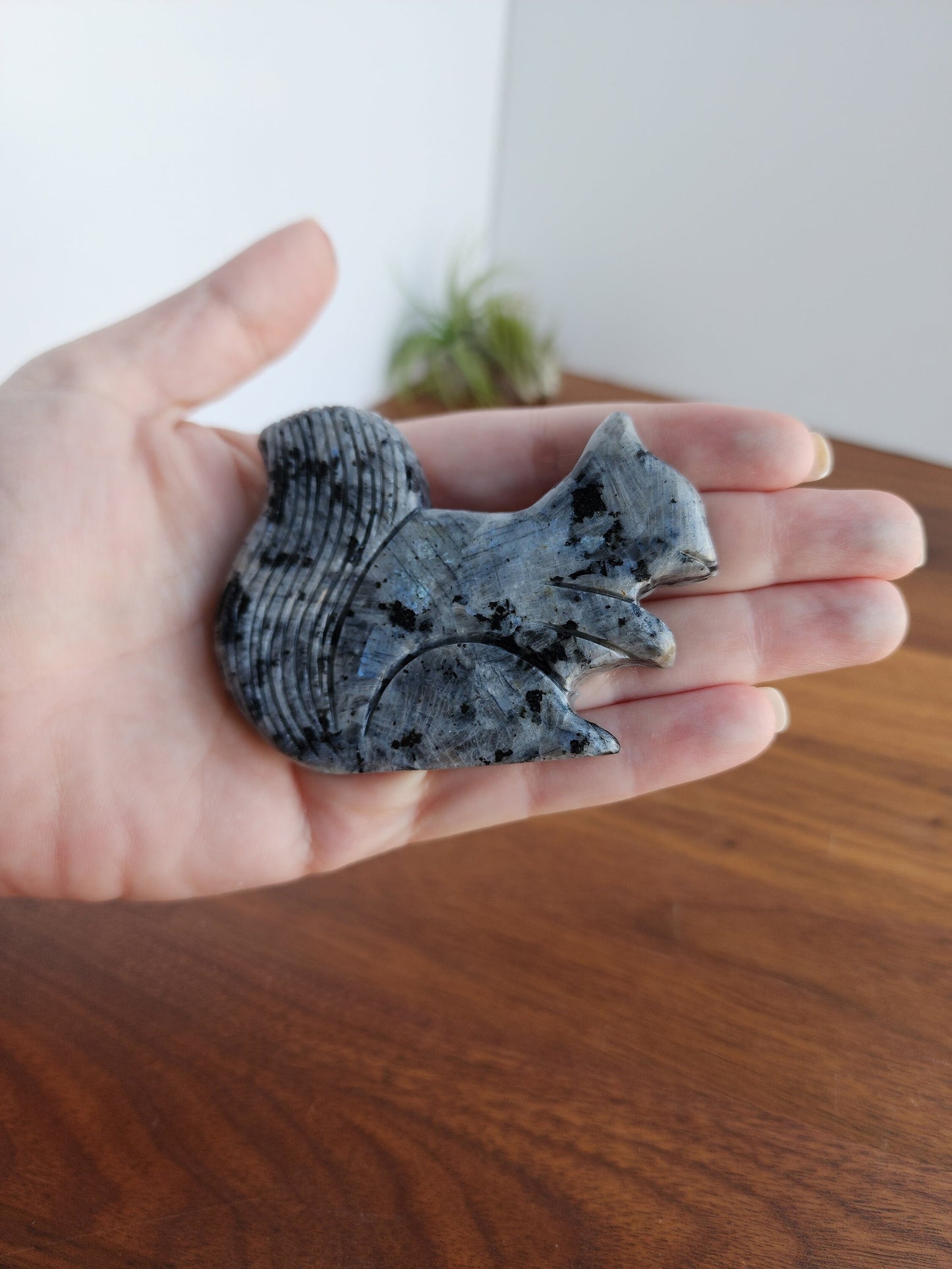 Larvikite Crystal Squirrel Carving: Flashy Fall Critter