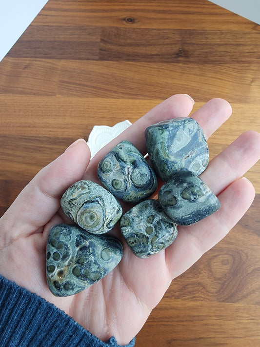 Kambaba Jasper Tumble Stone: Green Earthy Crystal