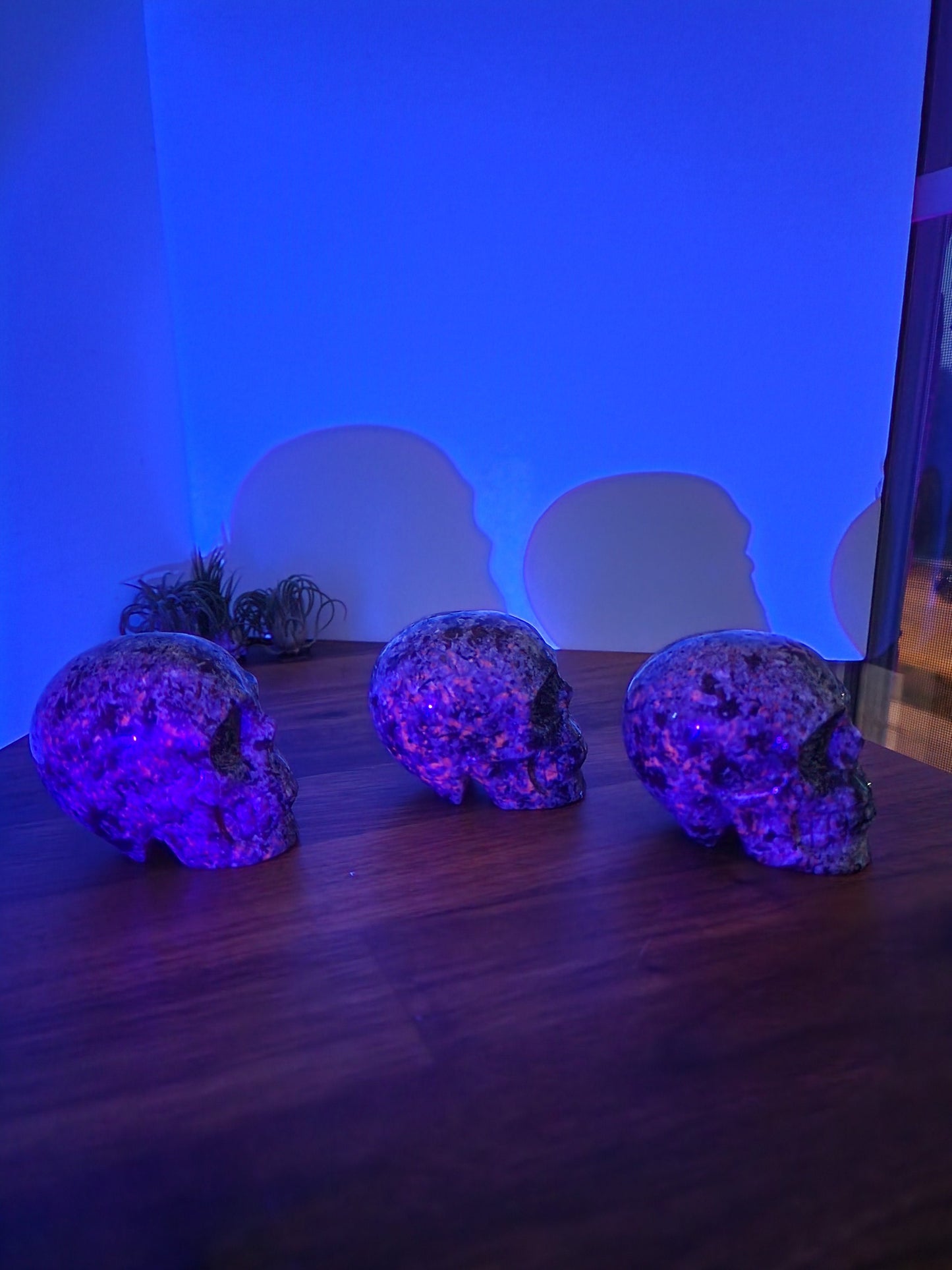 Yooperlite UV Reactive Crystal Skull (3-Inch Witchy Altar Accent)