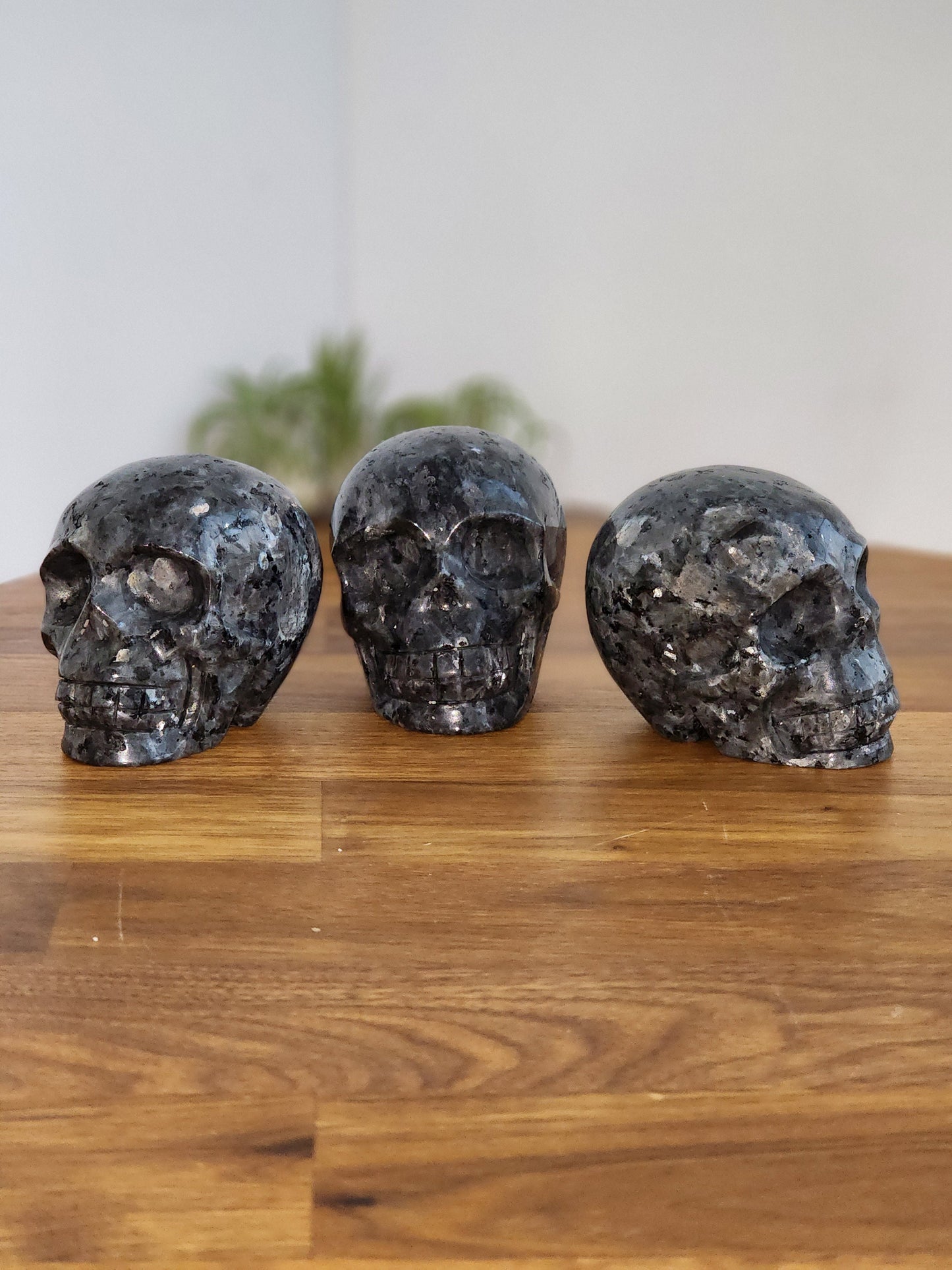 Flashy Larvakite Skull | 3" Spooky Season Crystals | Witchy Vibes | Halloween Crystal | High Quality Silver Flash | Intuitively Chosen