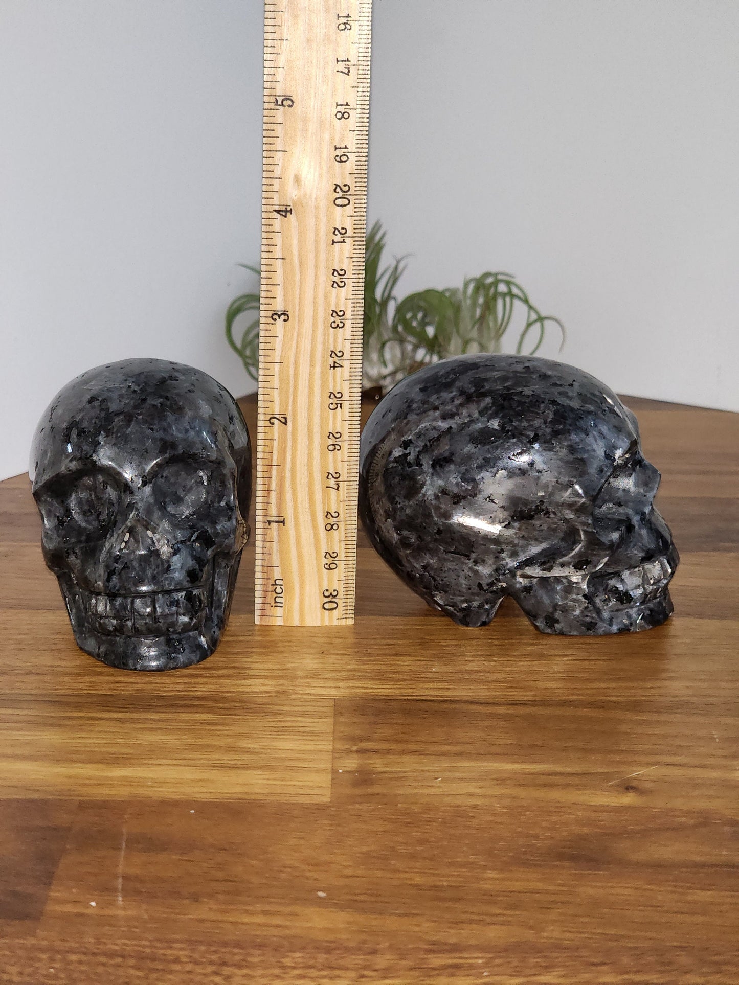 Larvakite Skull Crystal Decor: Silver Flash Detailing - Large 3" Sculpture, Witchy Altar, Spooky Season Display