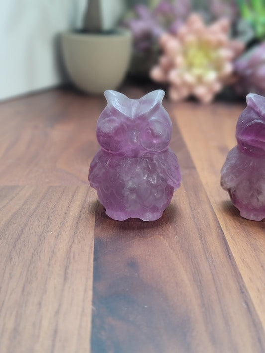 Owl Crystal Figurine: Purple Fluorite Rainbow Stone (Unique)