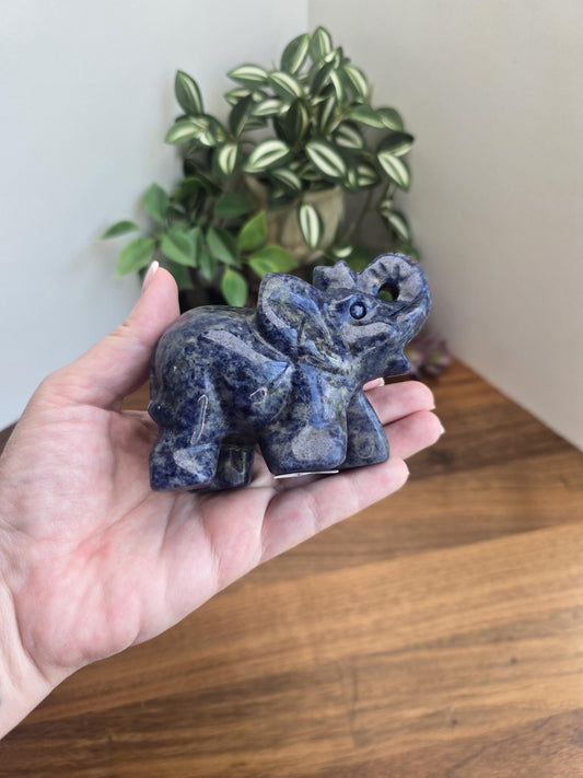 Sodalite Elephant Crystal Carving: Blue Black and White Stone Decor (3.75 in)
