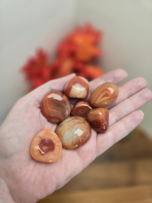 Carnelian Tumble Stone: Medium Sardonyx Banded Agate