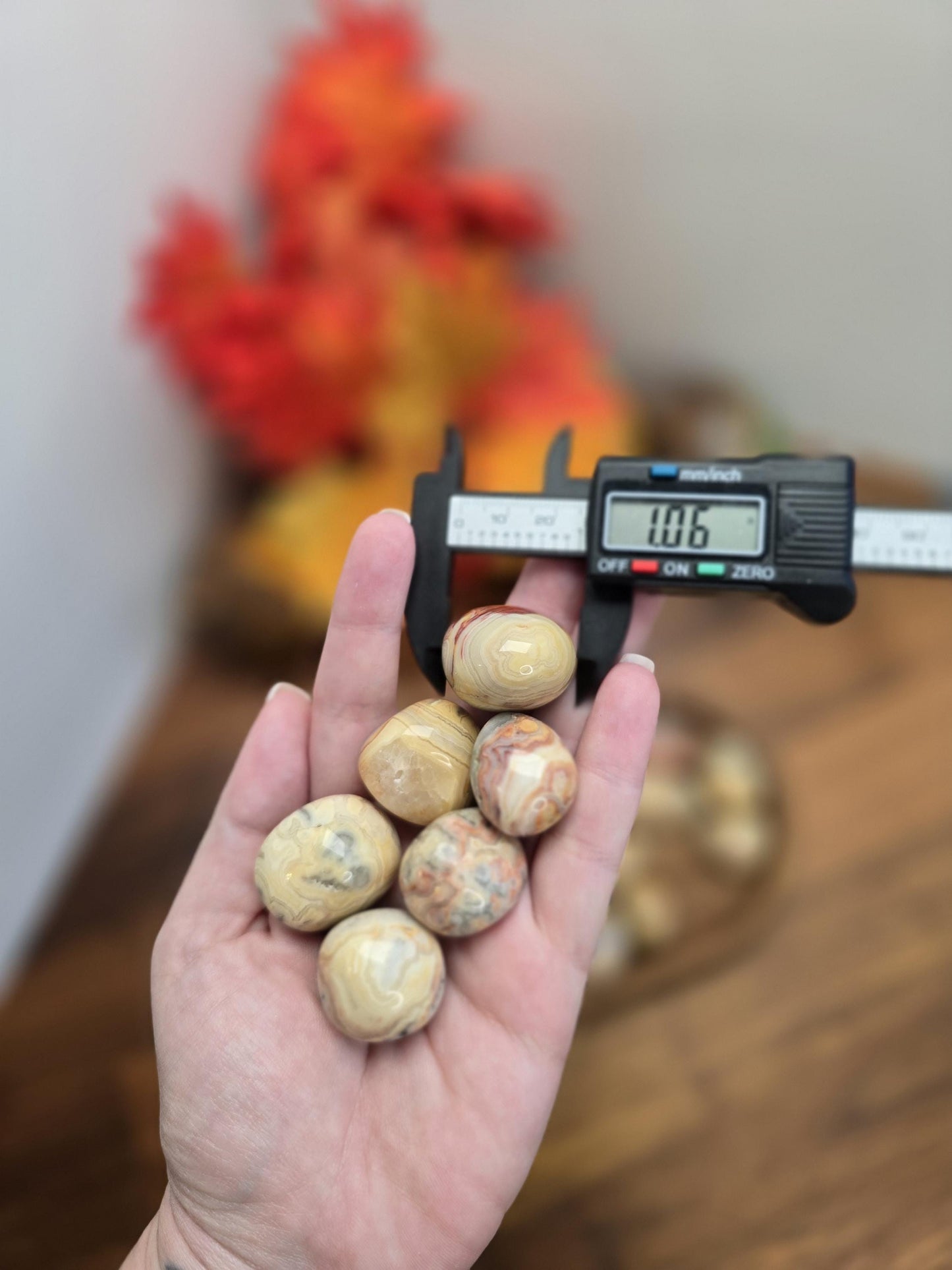Crazy Lace Agate Crystal Tumble | Gorgeous patterns and banding in Yellow, White, Red, Pink, Gray and clear quratz | Mexico Agate
