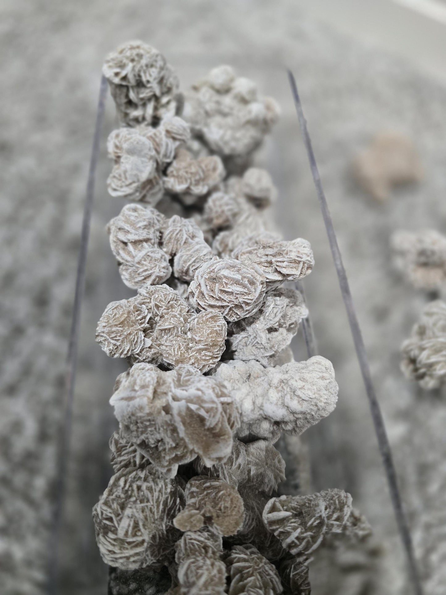 Desert Rose Mini | Around 1" | Intuitively Chosen