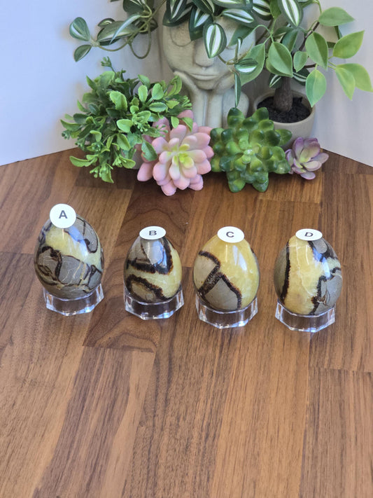 Septarian Crystal Dragon Egg - Yellow and Brown Natural Stone