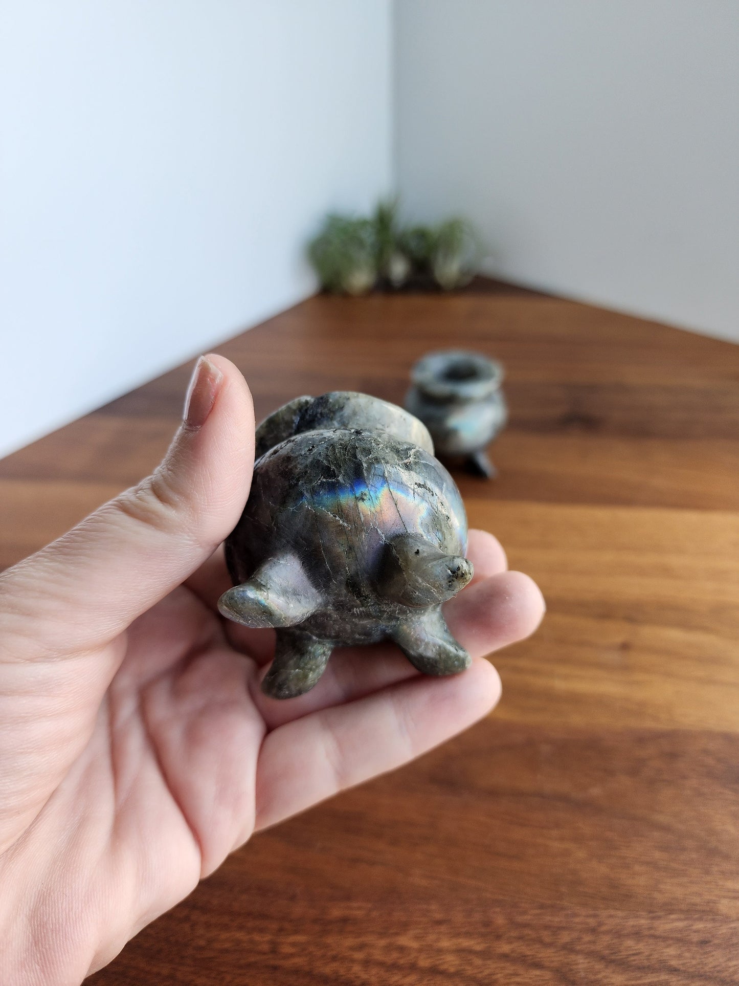 Crystal Cauldron | Labradorite Flash #1 | Spooky Season Crystals | Witchy Vibes Decor | Halloween Decorations | Witch's Altar Display