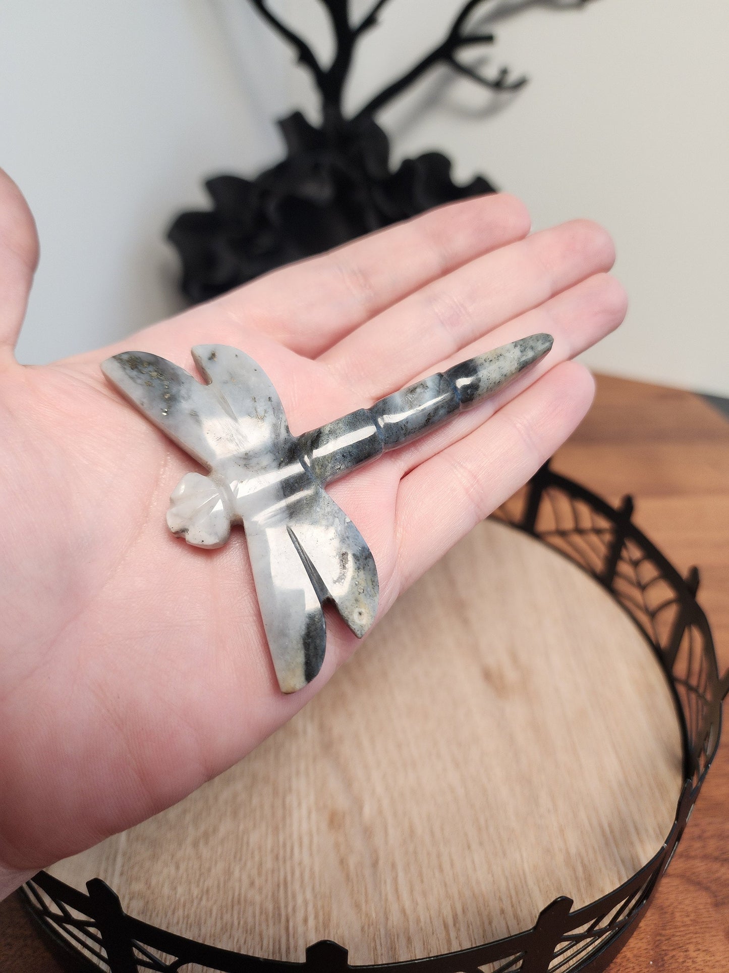 Crystal Dragonfly | Pyrite in Quartz | Gray, White, Black Carving | Halloween Crystals | Gothcore | Spooky Season | Only 1 Available