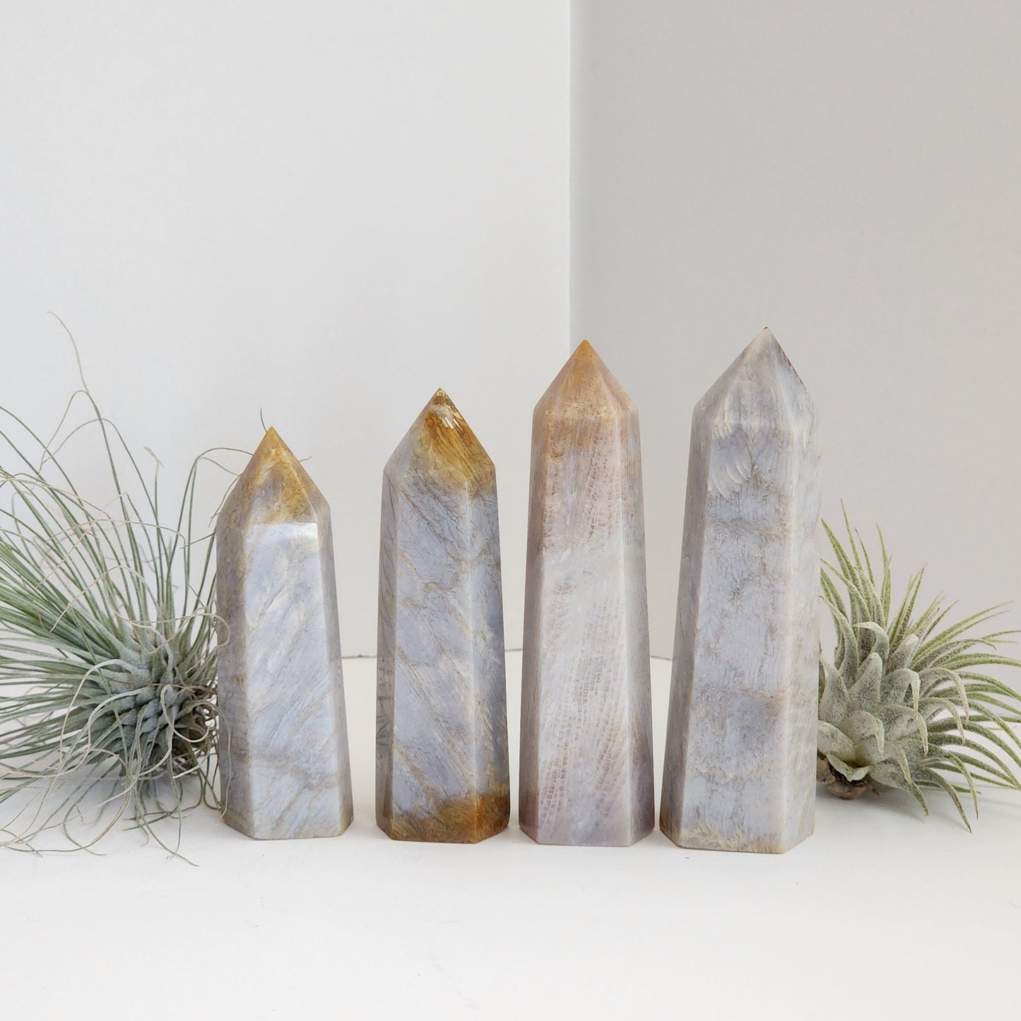 Coral Jade Tower | Blue Gray Shades | Ancient Coral | Agatized Fossil | Feather Patterns | Choose Your Own Crystal!