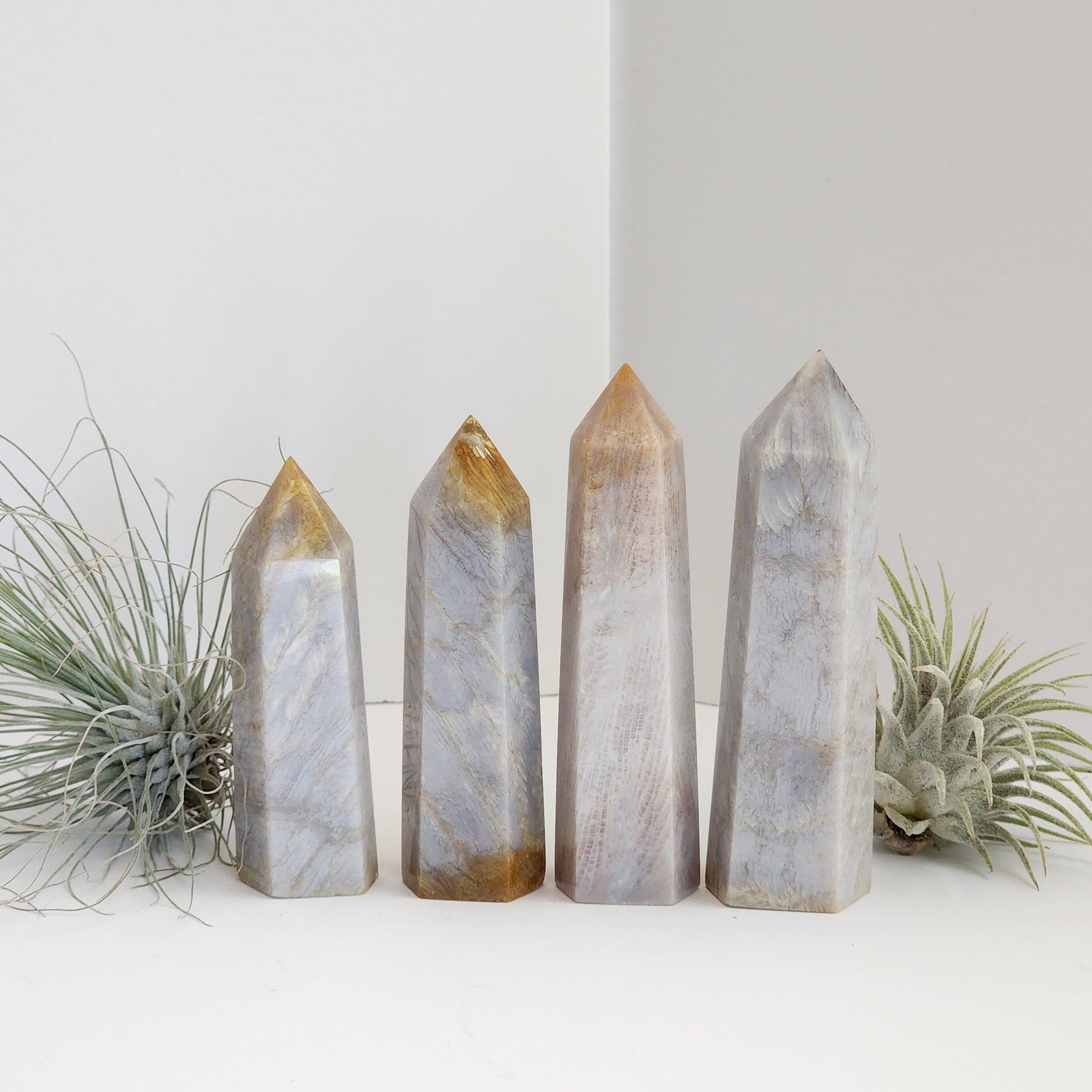 Coral Jade Tower | Blue Gray Shades | Ancient Coral | Agatized Fossil | Feather Patterns | Choose Your Own Crystal!