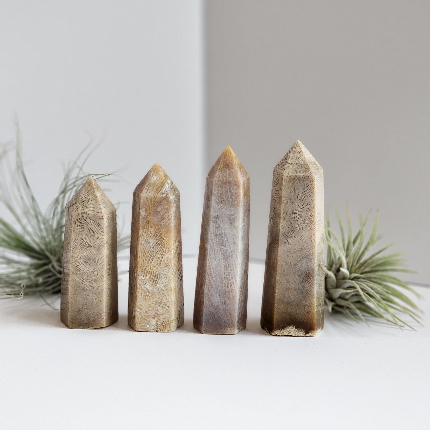 Coral Jade Tower | Cream tones | Ancient Coral | Agatized Fossil Coral | Gorgeous Feather Pattern | Choose Your Own Crystal!