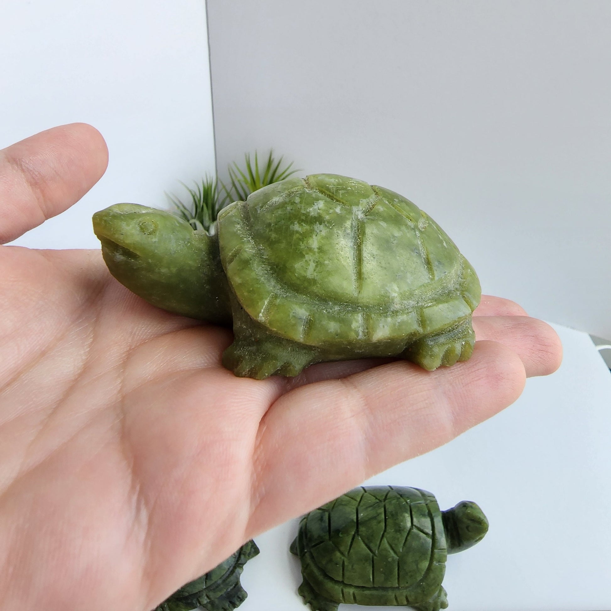 Green Jade Turtle Carving| Large Size Crystals | Cute Green Carved Turtles | Pet Crystals | Intuitively Chosen