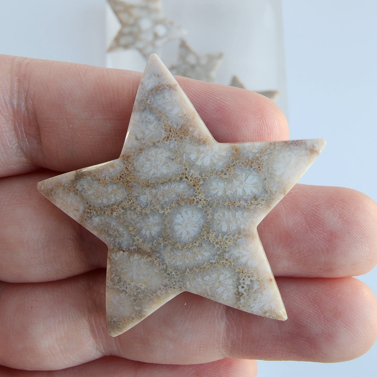 Fossil Coral Star Carving - Hand Carved Agatized Gem