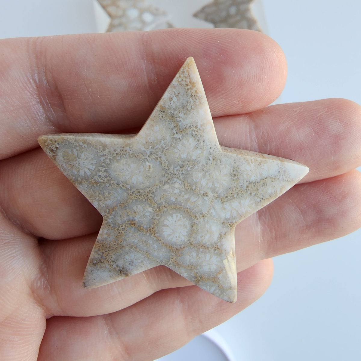 Fossil Coral Star Carving - Hand Carved Agatized Gem