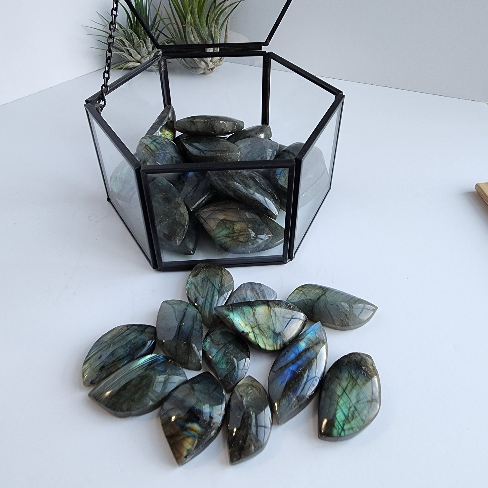 Labradorite Leaf Carvings. Smaller with good flash or larger medium flash. Intuitively Chosen!