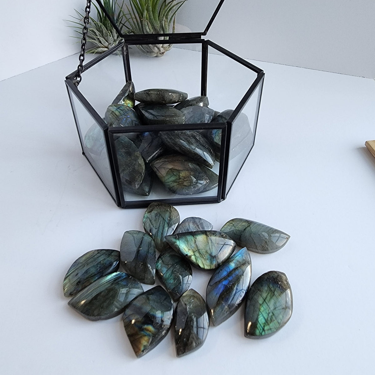 Labradorite Leaf Carving: Unique Flash Colors (Small or Large)