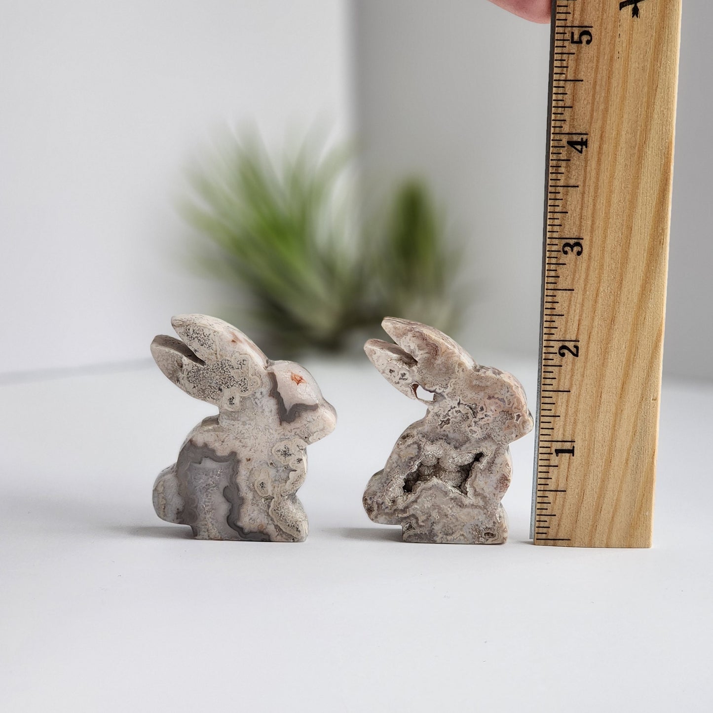 Gray Crazy Lace Agate Bunny | Large Carving | Choose Your Own Crystal Rabbit | Nursery, Spring, Easter Decor