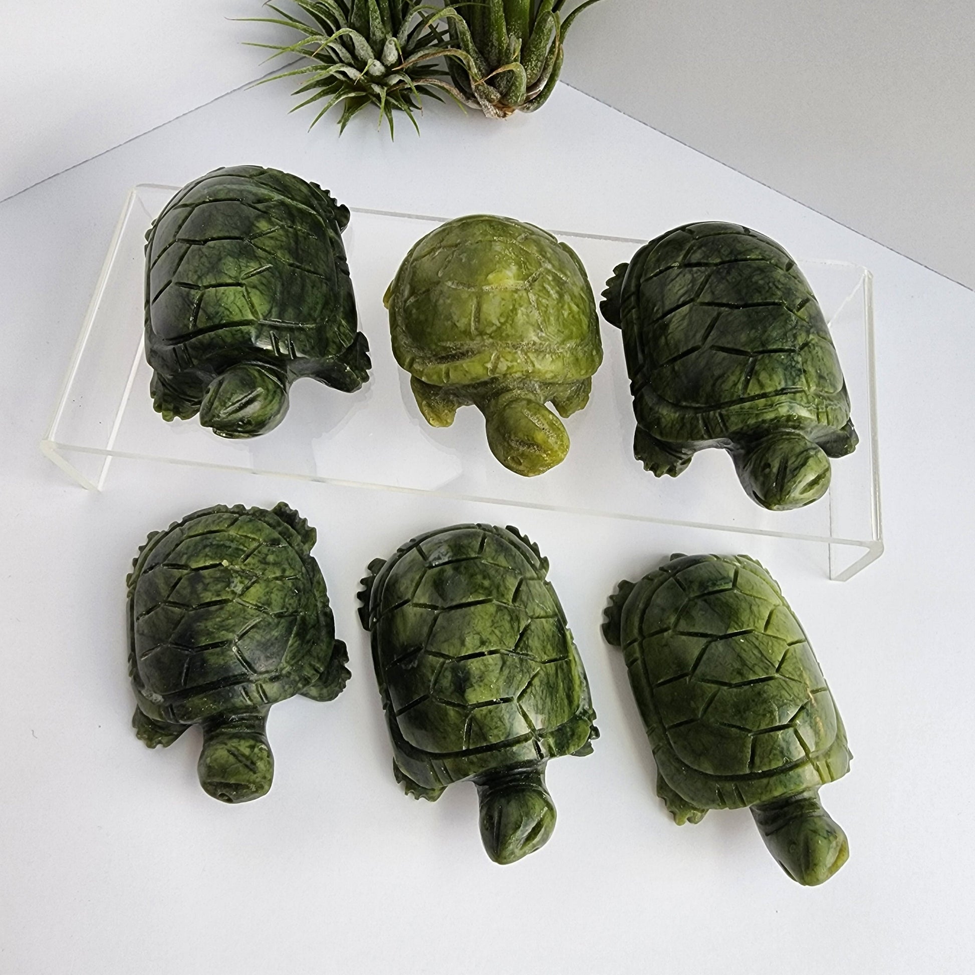 Cute Green Jade Tortoise | Chonky Crystal Pet for your Desk, Kids Bedroom or Summer Home Decor | Adorable Baby Turtle Reptile Figurine