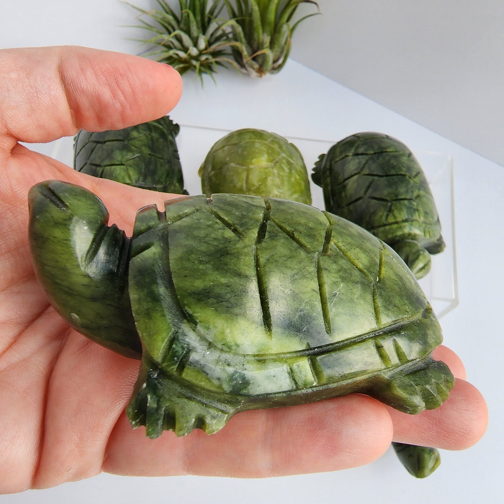 Green Jade Turtle Carving| Large Size Crystals | Cute Green Carved Turtles | Pet Crystals | Intuitively Chosen