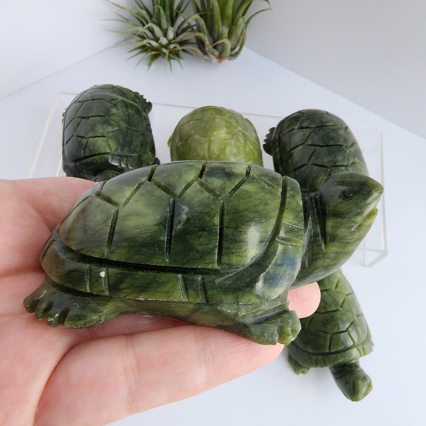 Green Jade Turtle Carving| Large Size Crystals | Cute Green Carved Turtles | Pet Crystals | Intuitively Chosen