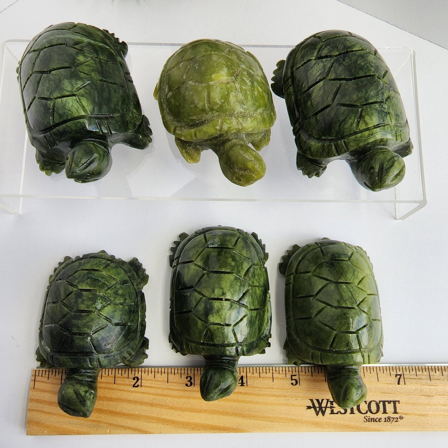 Green Jade Turtle Carving| Large Size Crystals | Cute Green Carved Turtles | Pet Crystals | Intuitively Chosen