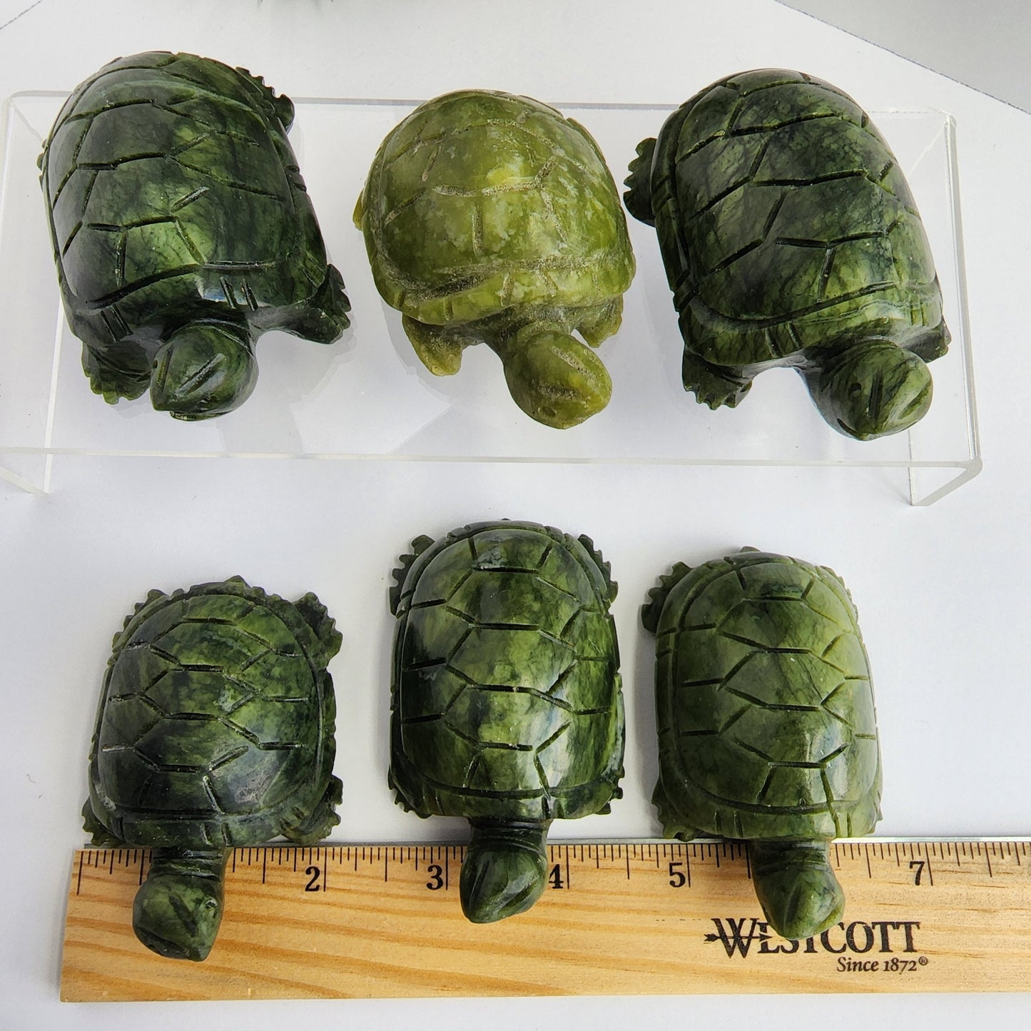 Cute Green Jade Tortoise | Chonky Crystal Pet for your Desk, Kids Bedroom or Summer Home Decor | Adorable Baby Turtle Reptile Figurine