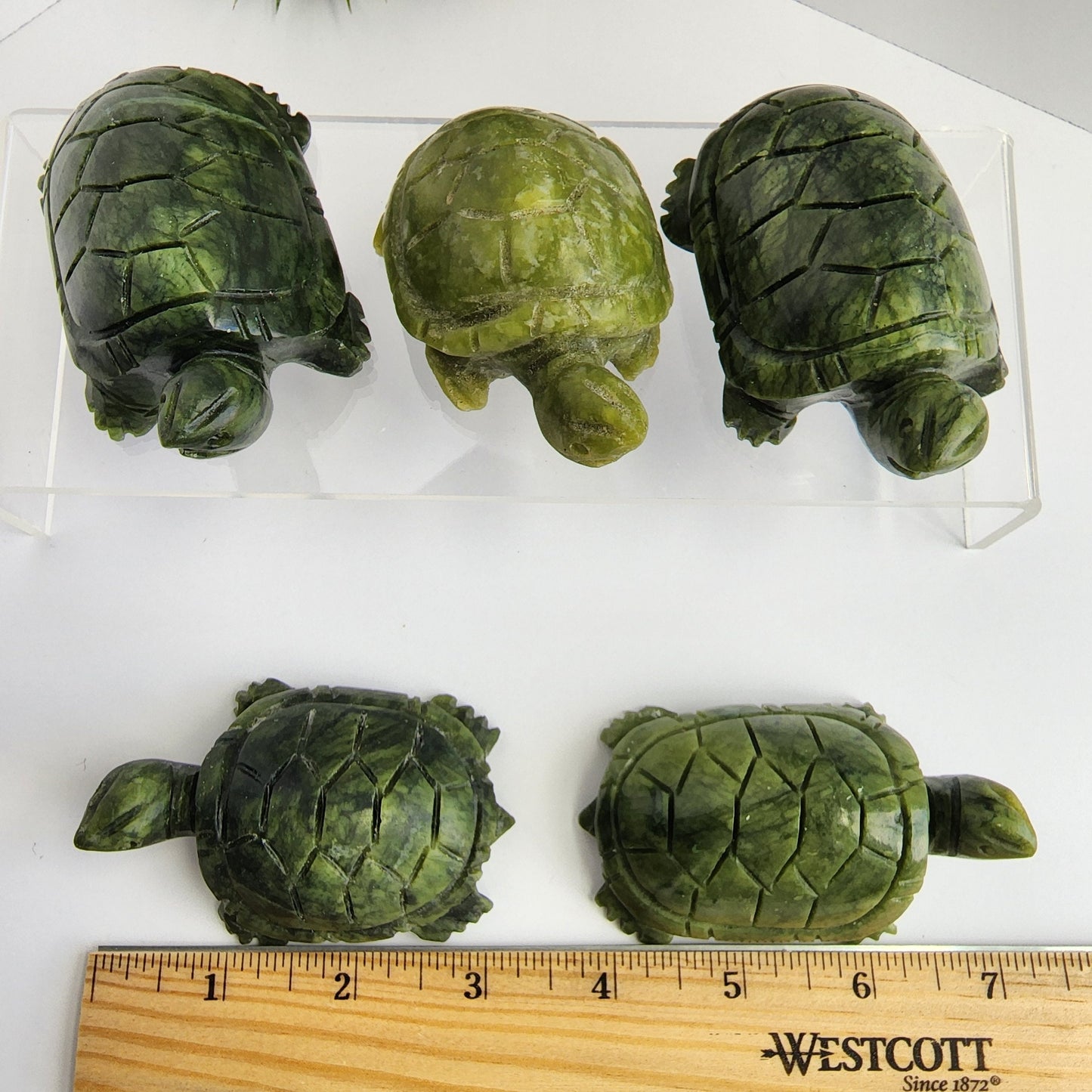 Green Jade Turtle Carving| Large Size Crystals | Cute Green Carved Turtles | Pet Crystals | Intuitively Chosen