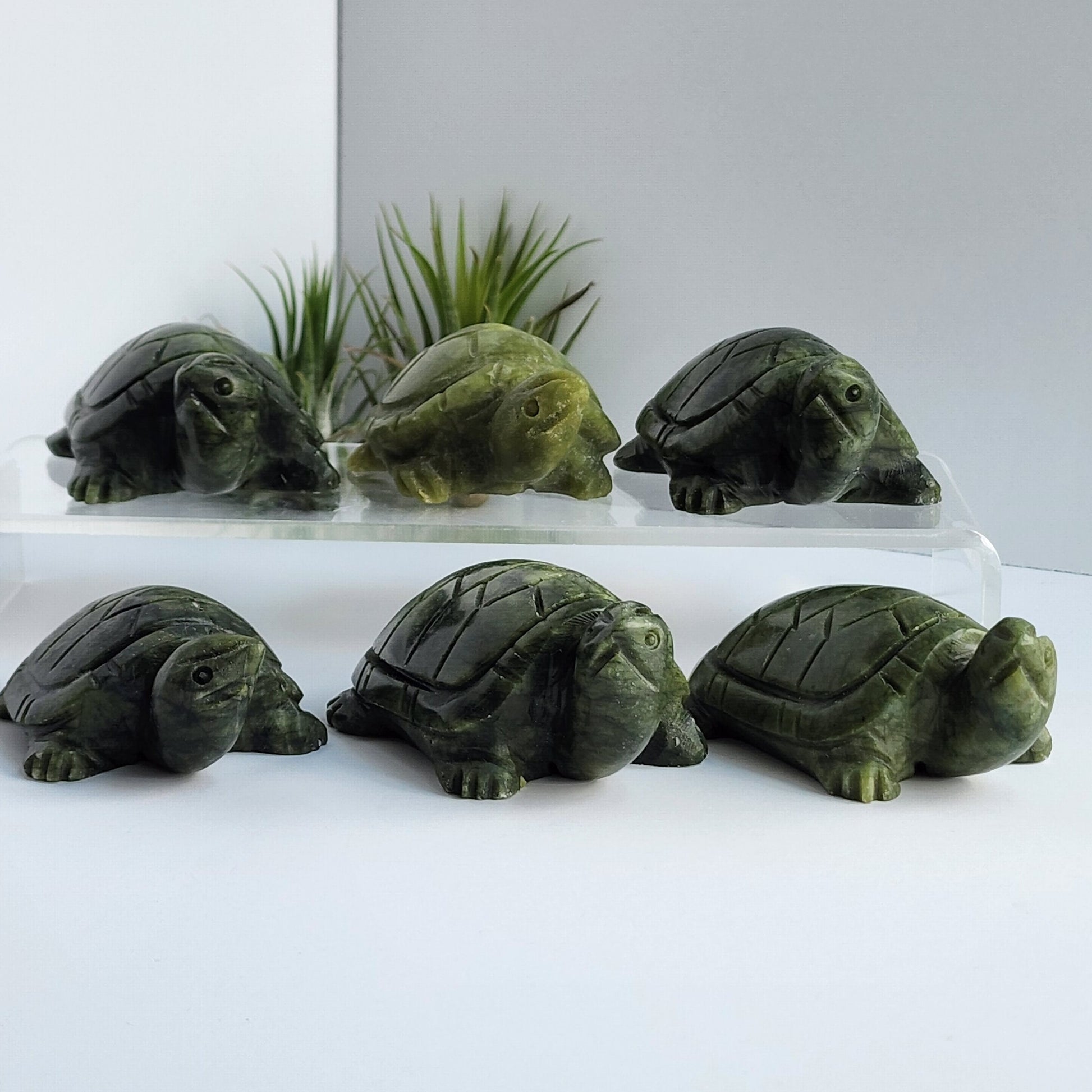 Cute Green Jade Tortoise | Chonky Crystal Pet for your Desk, Kids Bedroom or Summer Home Decor | Adorable Baby Turtle Reptile Figurine