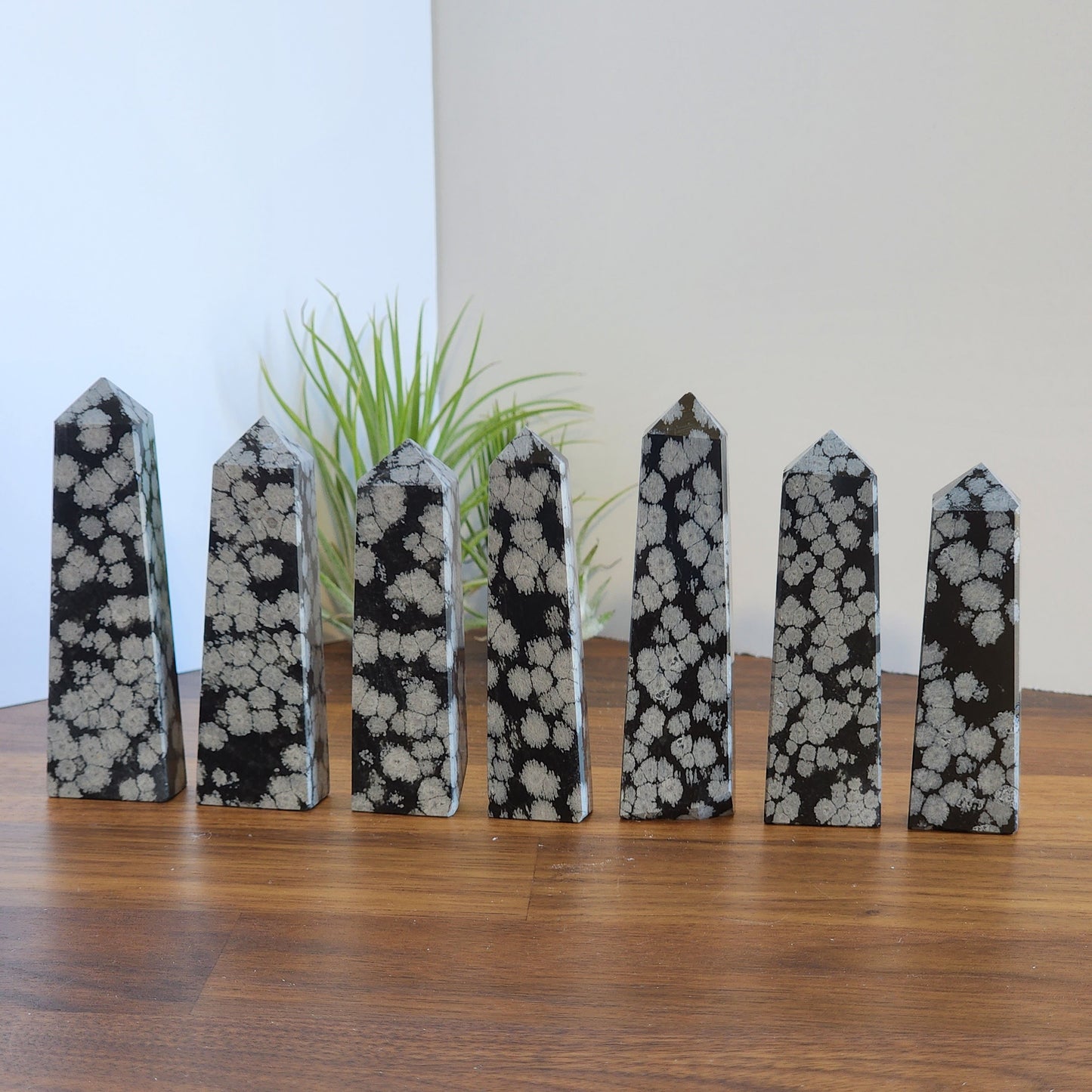 Snowflake Obsidian Tower | Small Points | Black Obsidian with White Flower | Intuitively Chosen