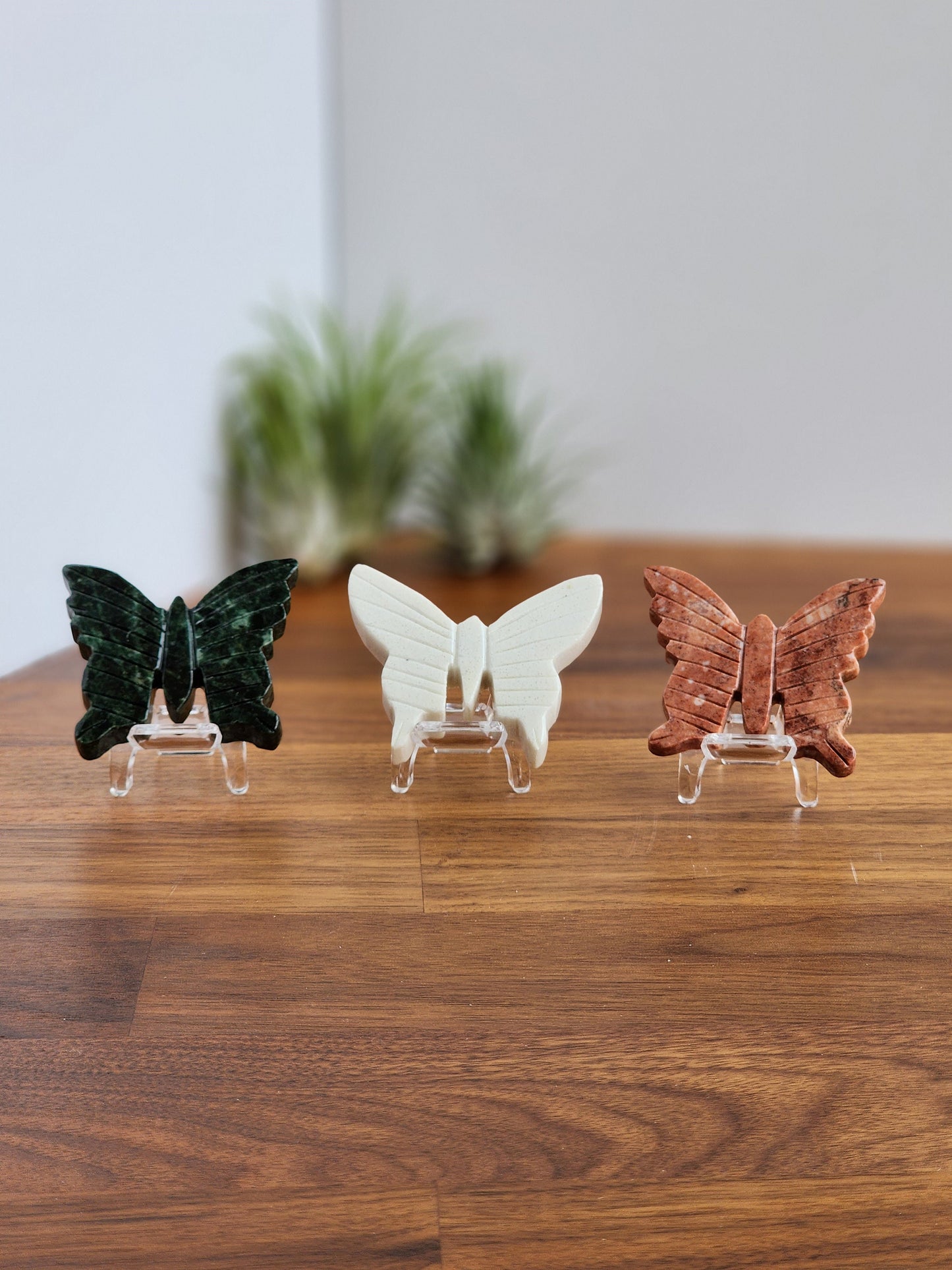 Acrylic Stands | Display Stands for Slabs, Hearts, Stars, Butterflies, and Specimens