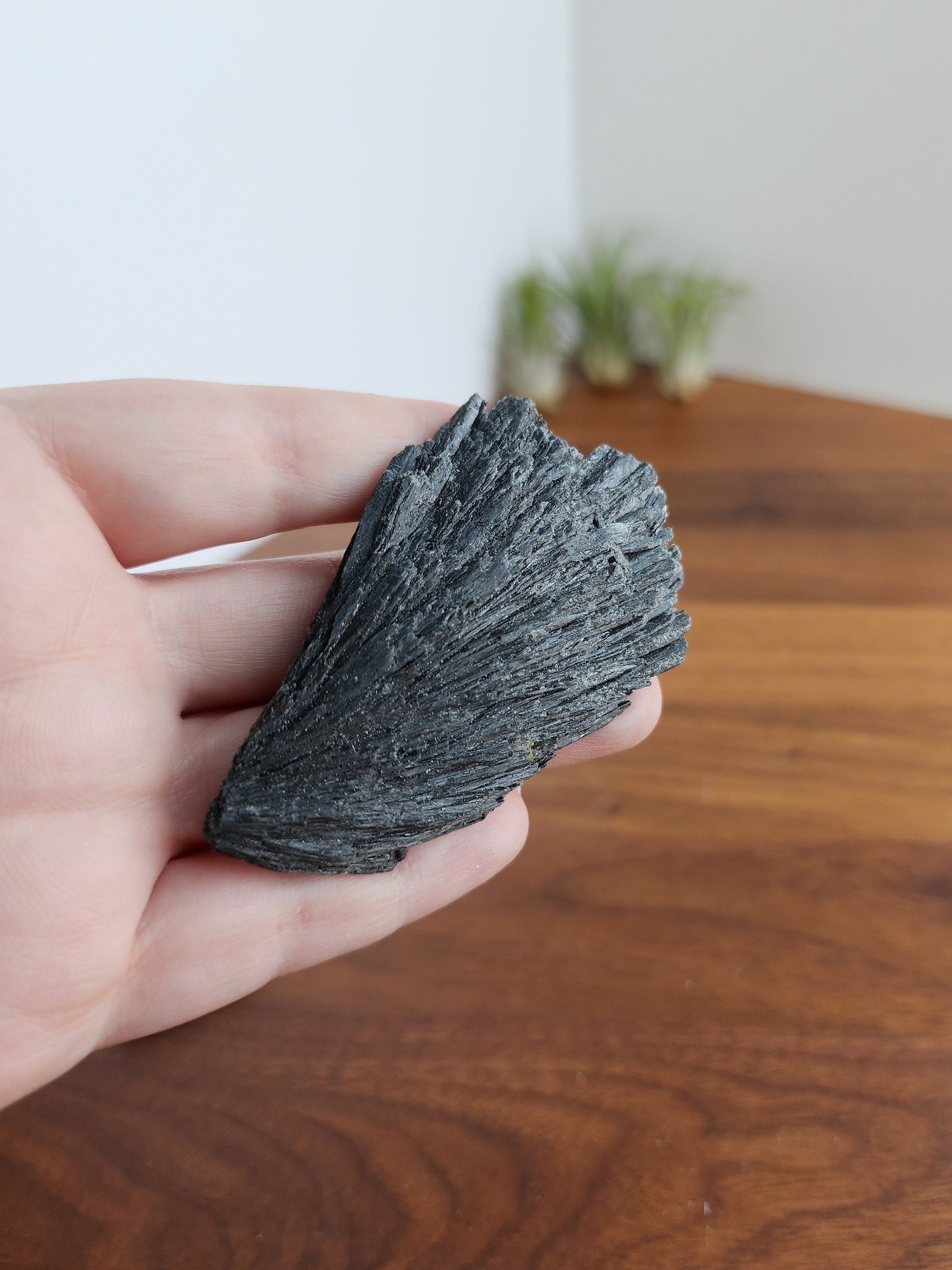 Black Kyanite Specimen | Raw Flashy Kyanite Shard | Natural Black Crystal | Collector's Crystals | Intuitively Chosen
