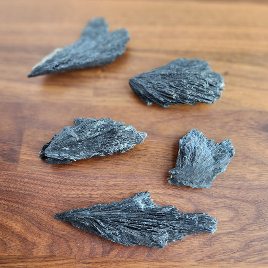 Black Kyanite Specimen | Raw Flashy Kyanite Shard | Natural Black Crystal | Collector's Crystals | Intuitively Chosen