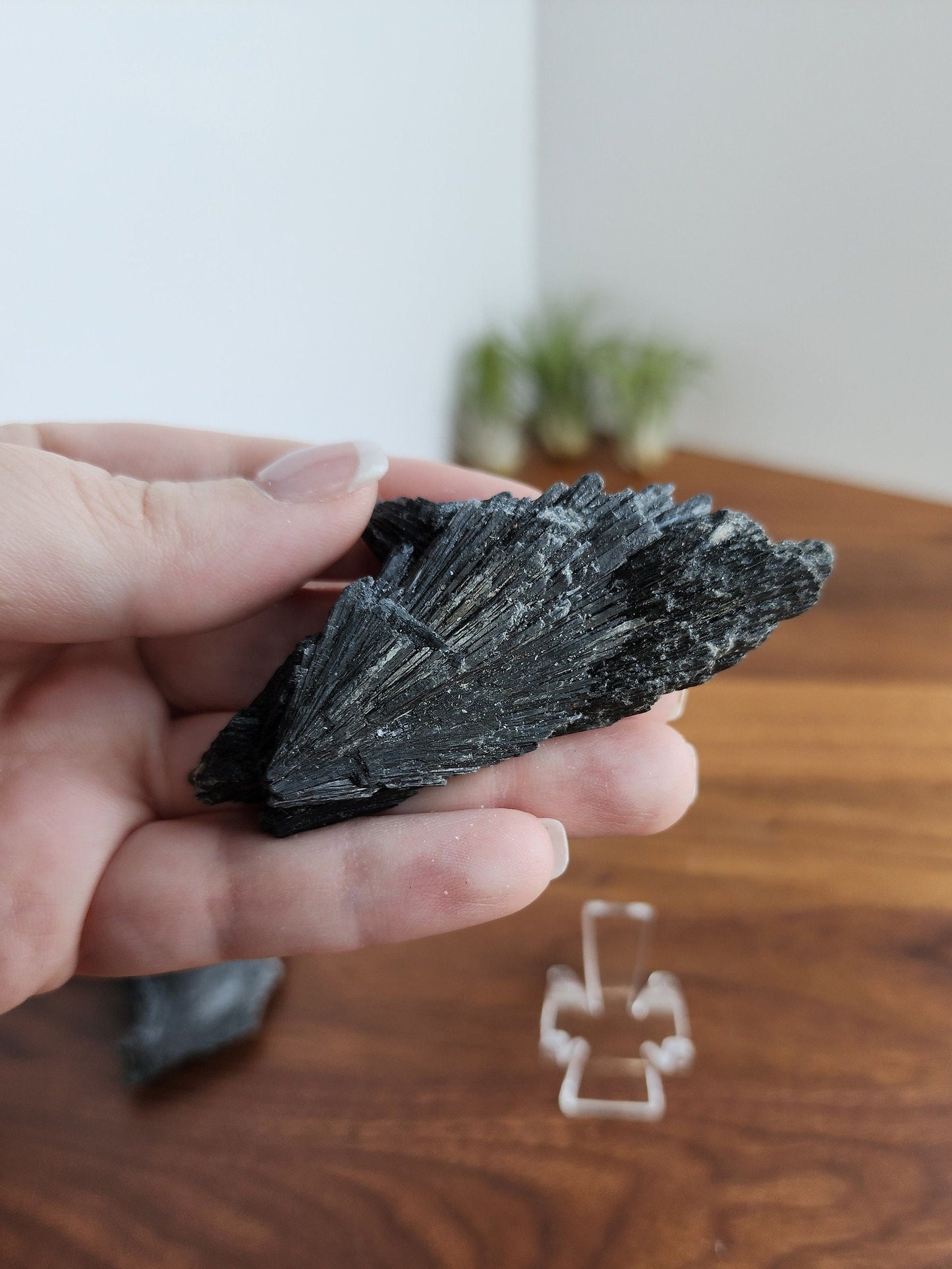 Black Kyanite Specimen | Raw Flashy Kyanite Shard | Natural Black Crystal | Collector's Crystals | Intuitively Chosen