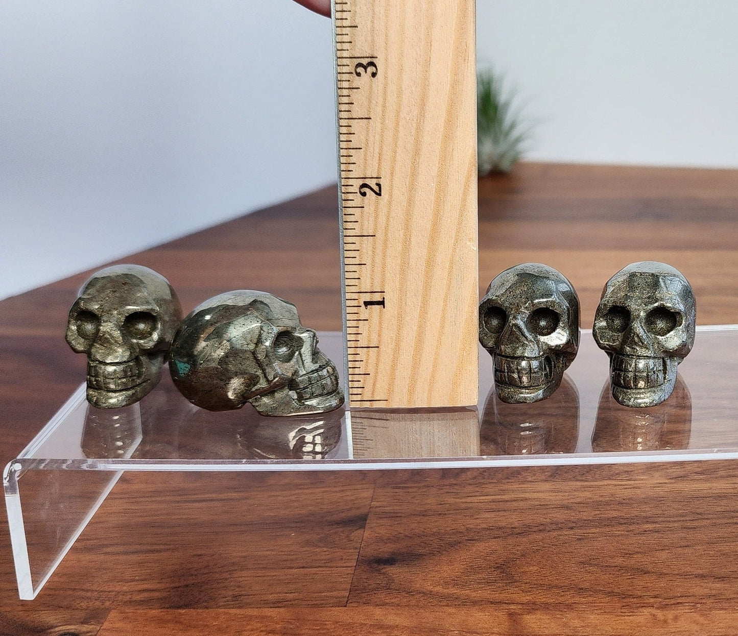 Pyrite Skulls | 1.5" | High Quality with golden sheen | AKA Fool's Gold for Prosperity Rituals | Fun accent to any Halloween or Witchy Decor