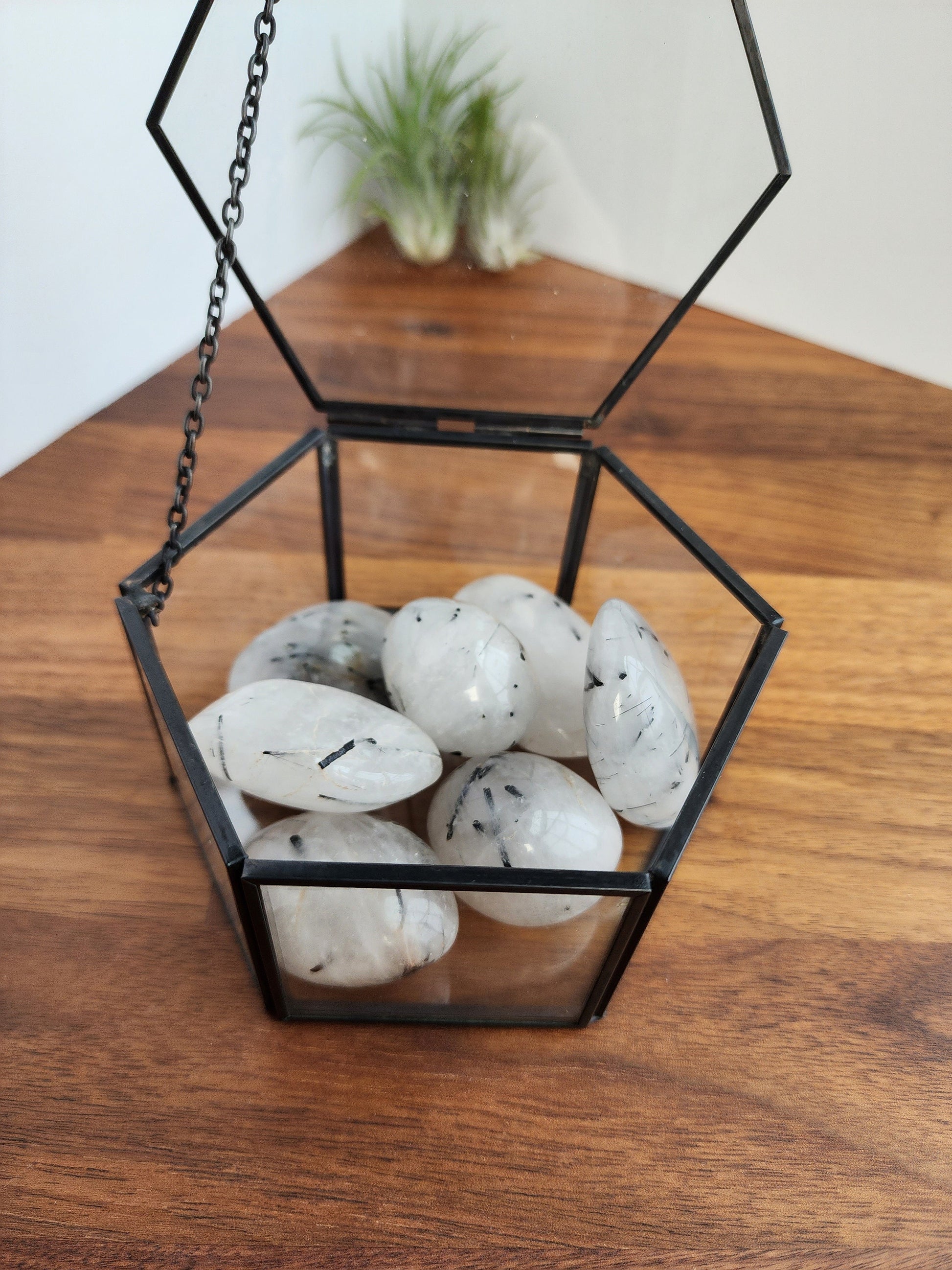 Black Tourmaline in Quartz Palm Stones | Varying Shapes | Large Palms | Intuitively Chosen for you!