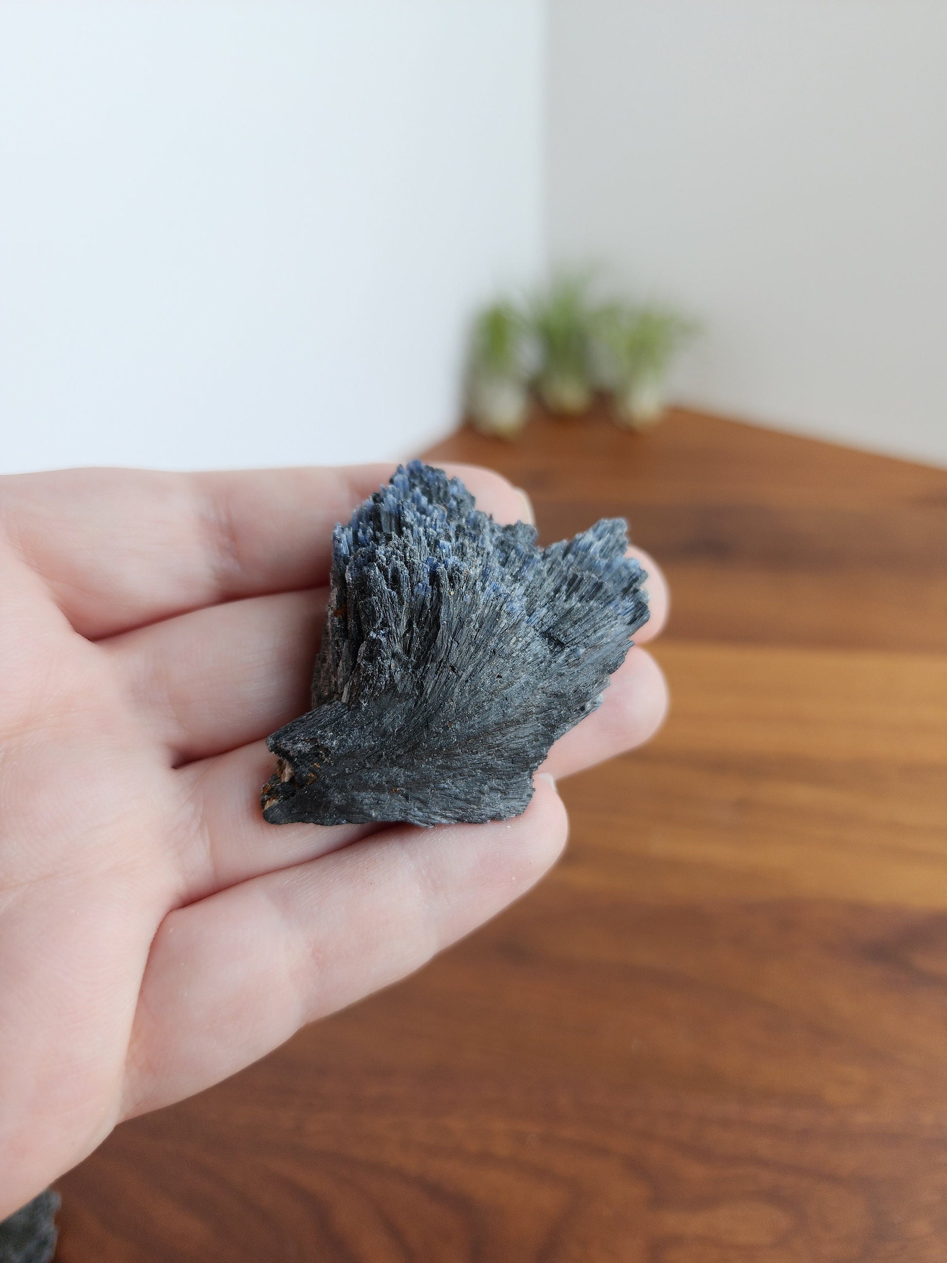 Black Kyanite Specimen | Raw Flashy Kyanite Shard | Natural Black Crystal | Collector's Crystals | Intuitively Chosen
