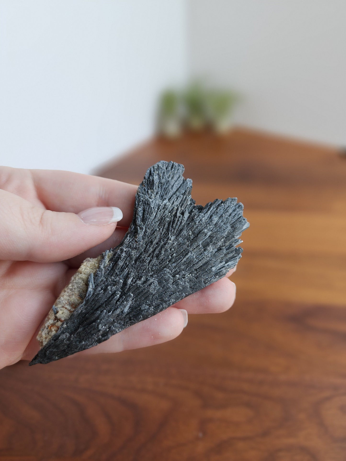 Black Kyanite Specimen | Raw Flashy Kyanite Shard | Natural Black Crystal | Collector's Crystals | Intuitively Chosen