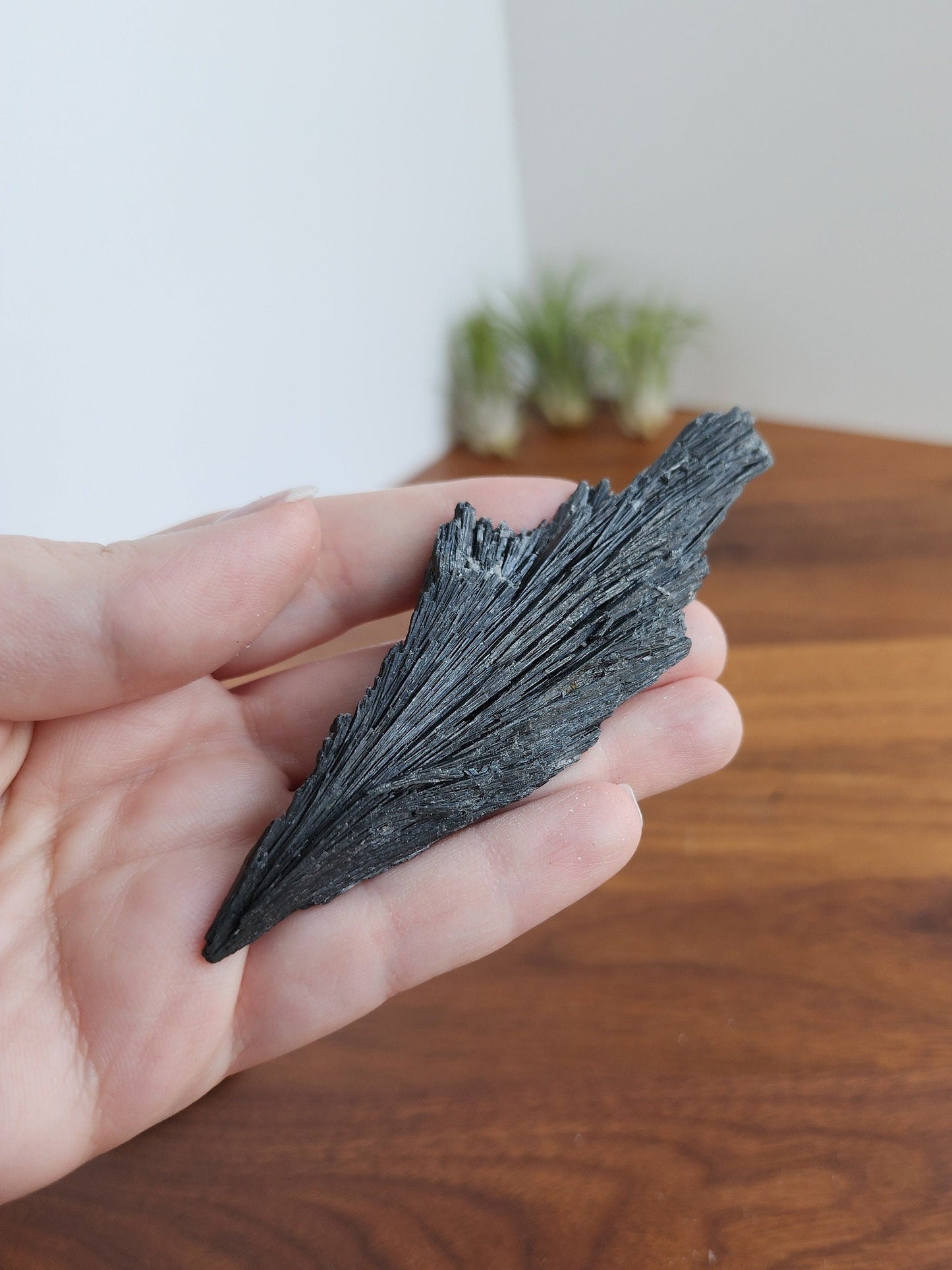 Black Kyanite Specimen | Raw Flashy Kyanite Shard | Natural Black Crystal | Collector's Crystals | Intuitively Chosen