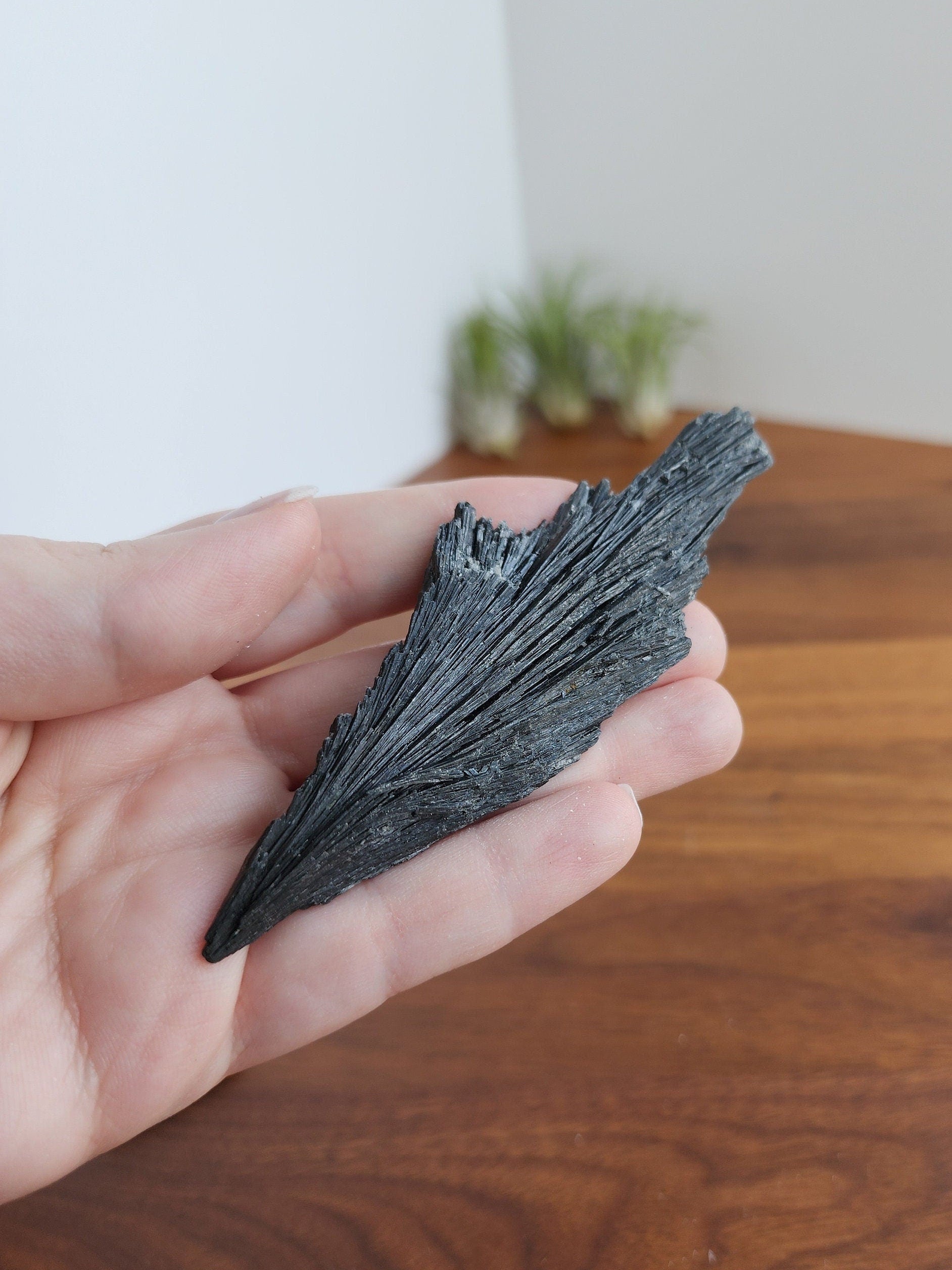 Black Kyanite Specimen | Raw Flashy Kyanite Shard | Natural Black Crystal | Collector's Crystals | Intuitively Chosen