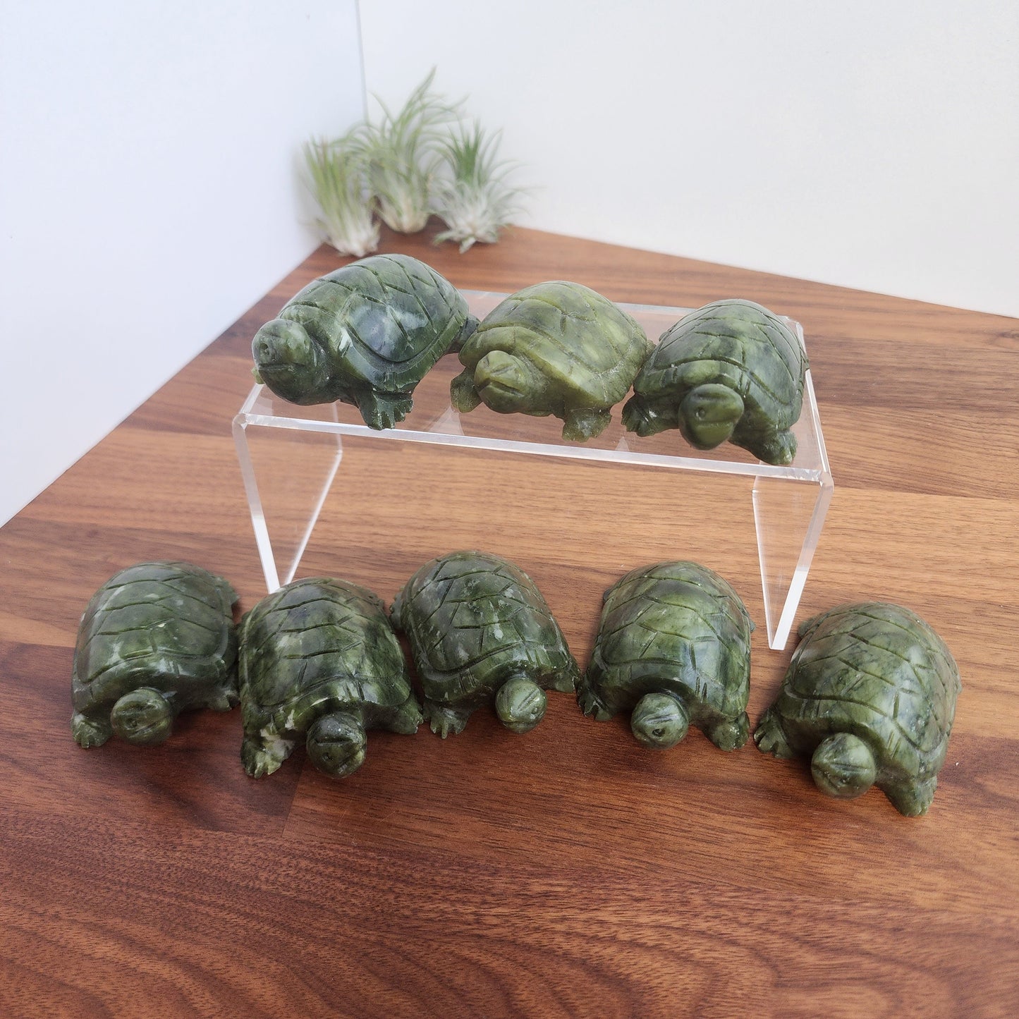 Green Jade Turtle Carving| Large Size Crystals | Cute Green Carved Turtles | Pet Crystals | Intuitively Chosen