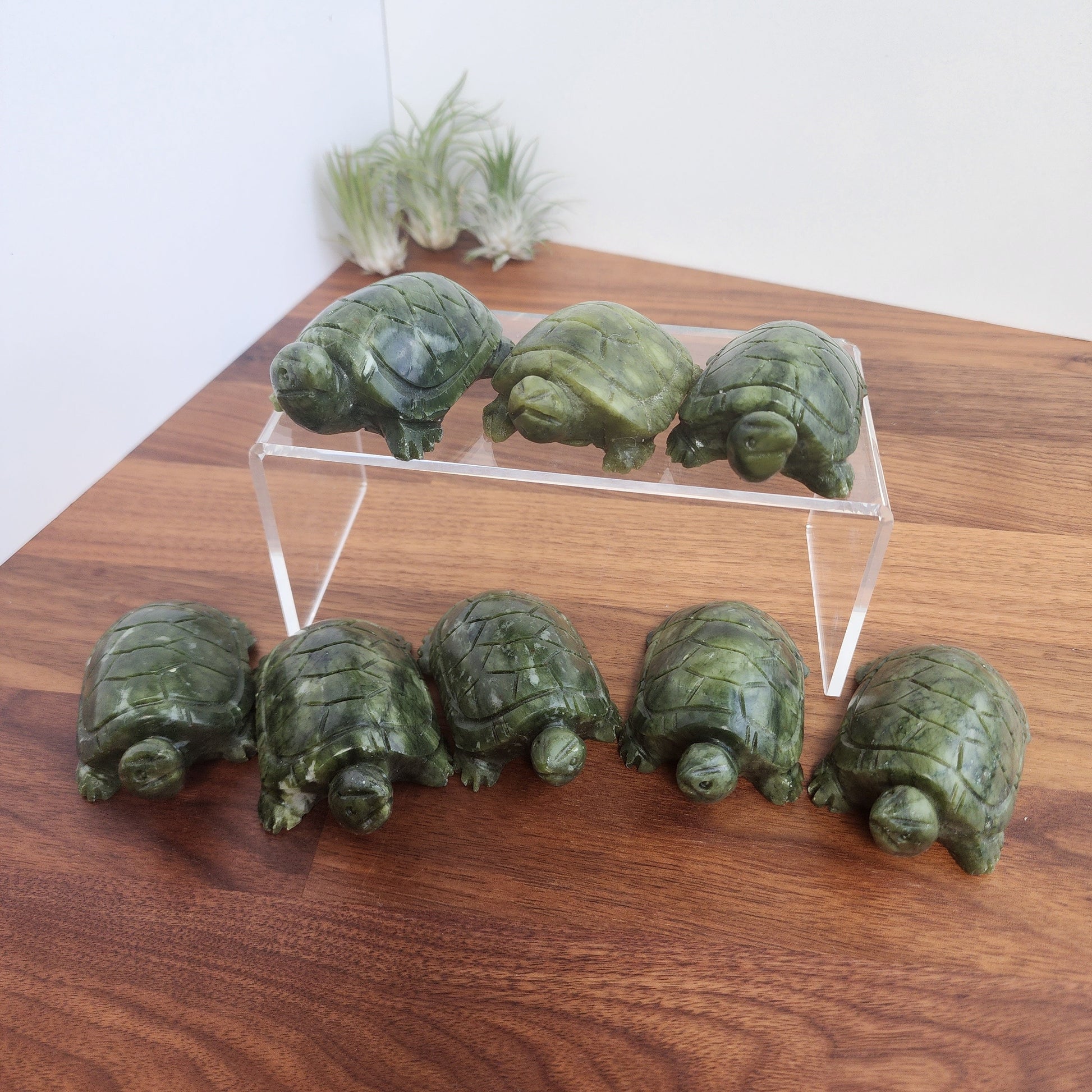 Green Jade Turtle Carving| Large Size Crystals | Cute Green Carved Turtles | Pet Crystals | Intuitively Chosen