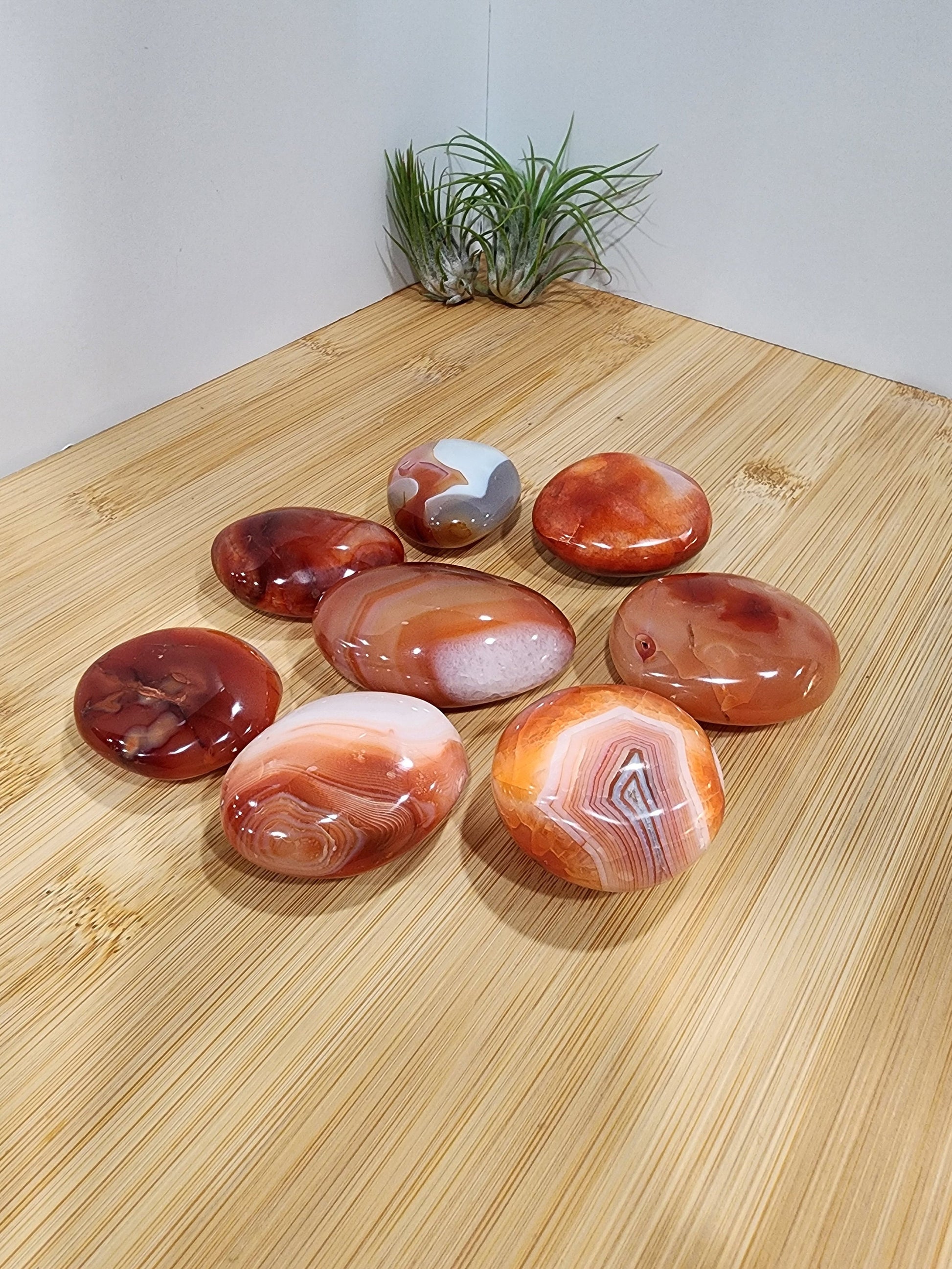 Carnelian Palm Stones | Quartz Bursts & Banding | Root Chakra | Meditation Stone | Intuitively Chosen