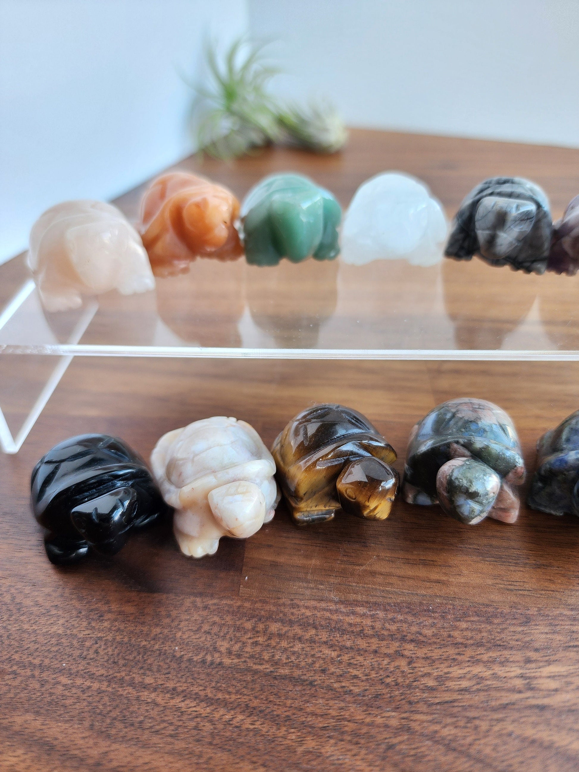 Crystal Turtles! | Baby Turtle Carving | Natural Materials | Mini Crystal Animals | Intuitively Chosen