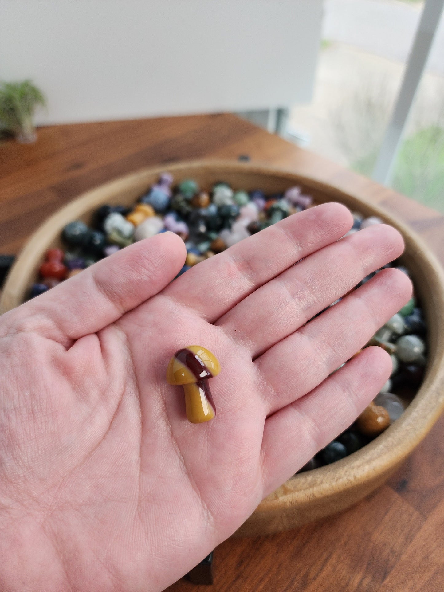 Mystery Crystal Mushrooms | Mushies | Mushroom Crystals | Over 20 Varieties | Intuitvely Chosen