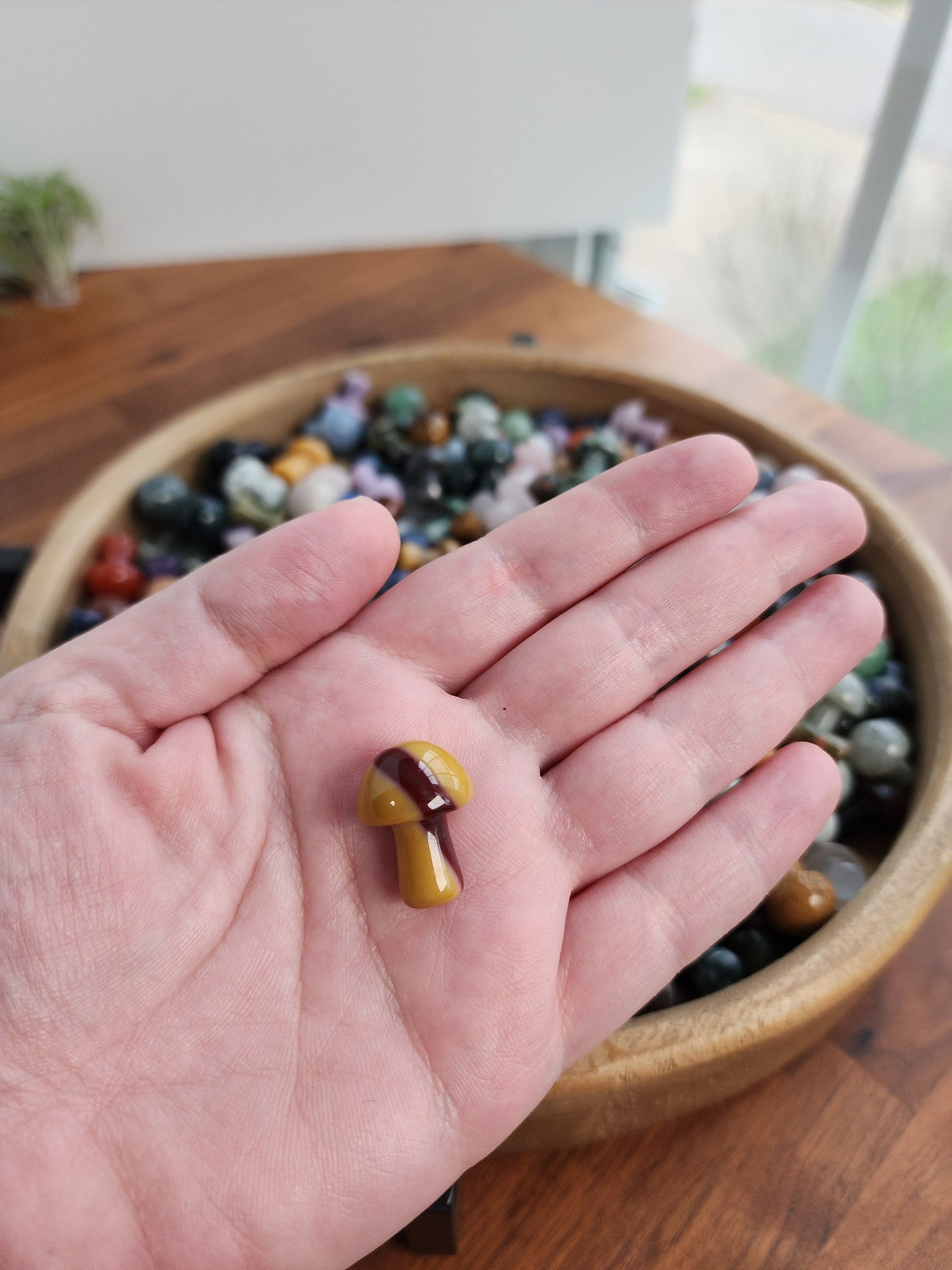 Mystery Crystal Mushrooms | Mushies | Mushroom Crystals | Over 20 Varieties | Intuitvely Chosen