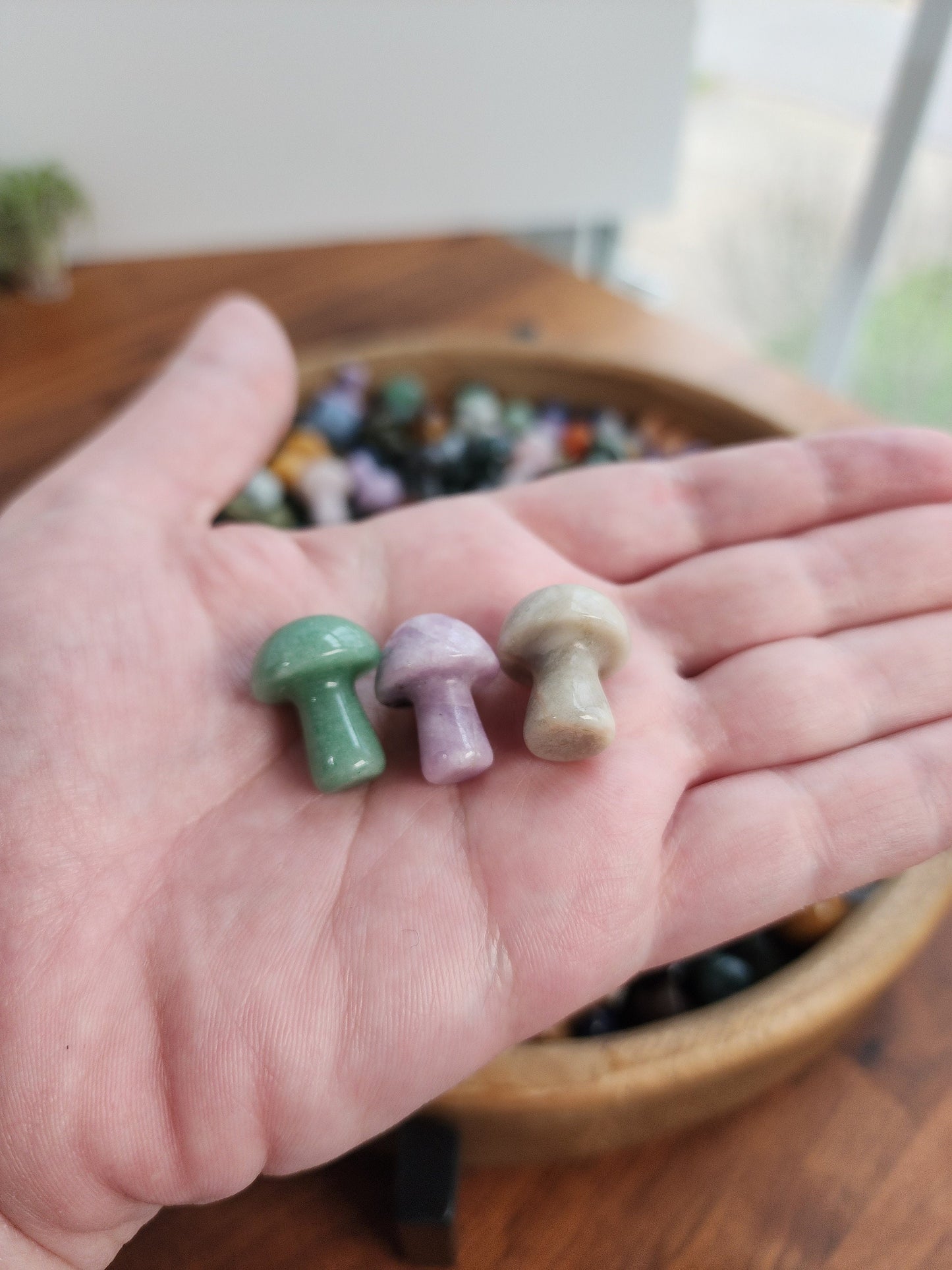 Mystery Crystal Mushrooms | Mushies | Mushroom Crystals | Over 20 Varieties | Intuitvely Chosen
